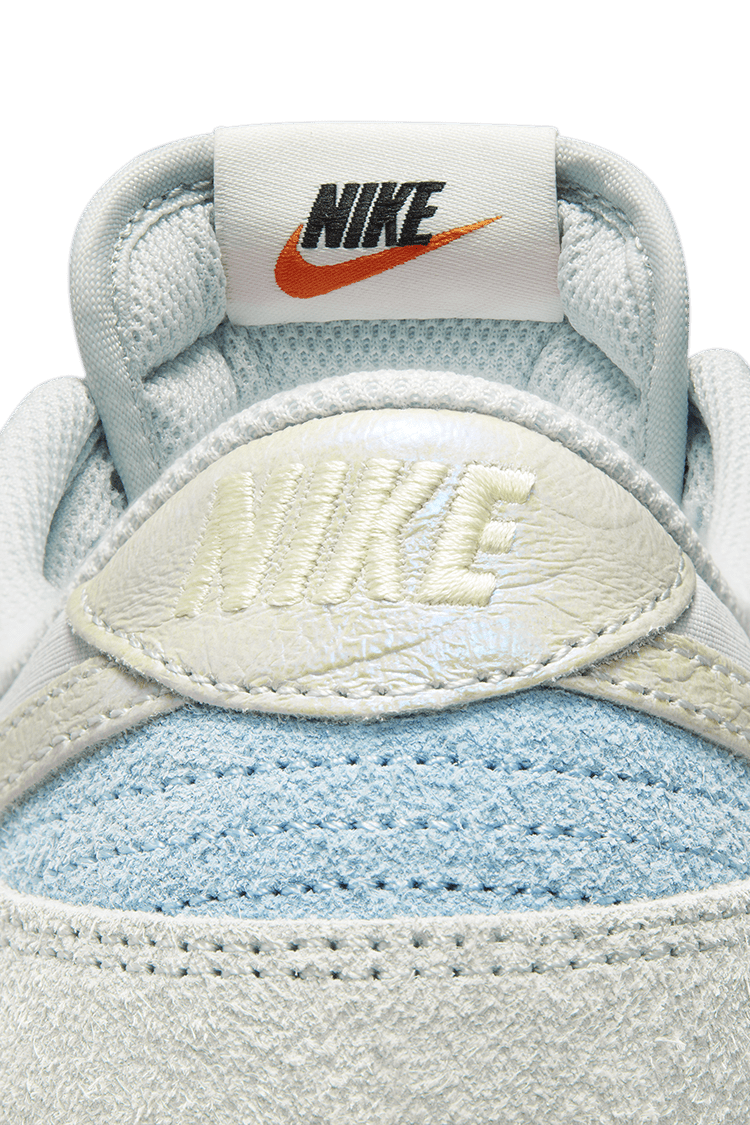 Dunk Low 'Light Silver and Ocean Bliss' (DV7210-001) Release Date