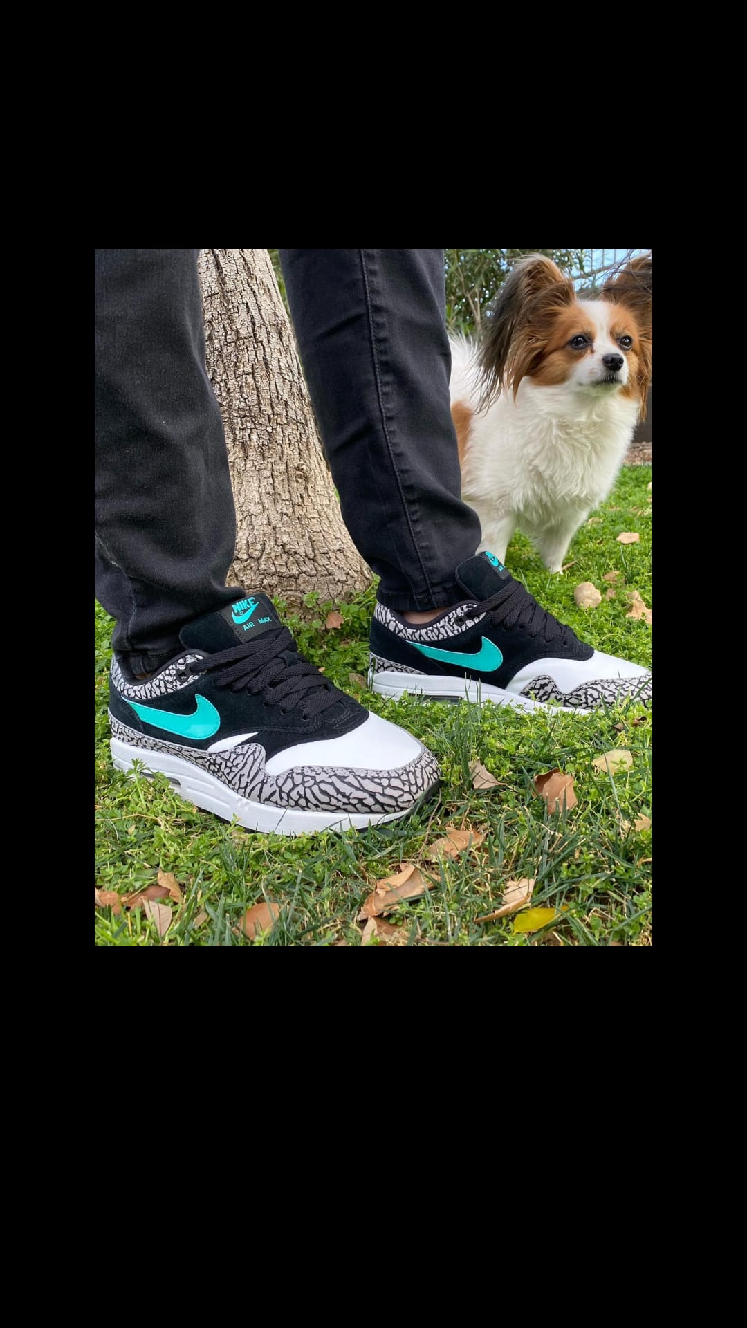 Kickcheck 3.25 - Air Max