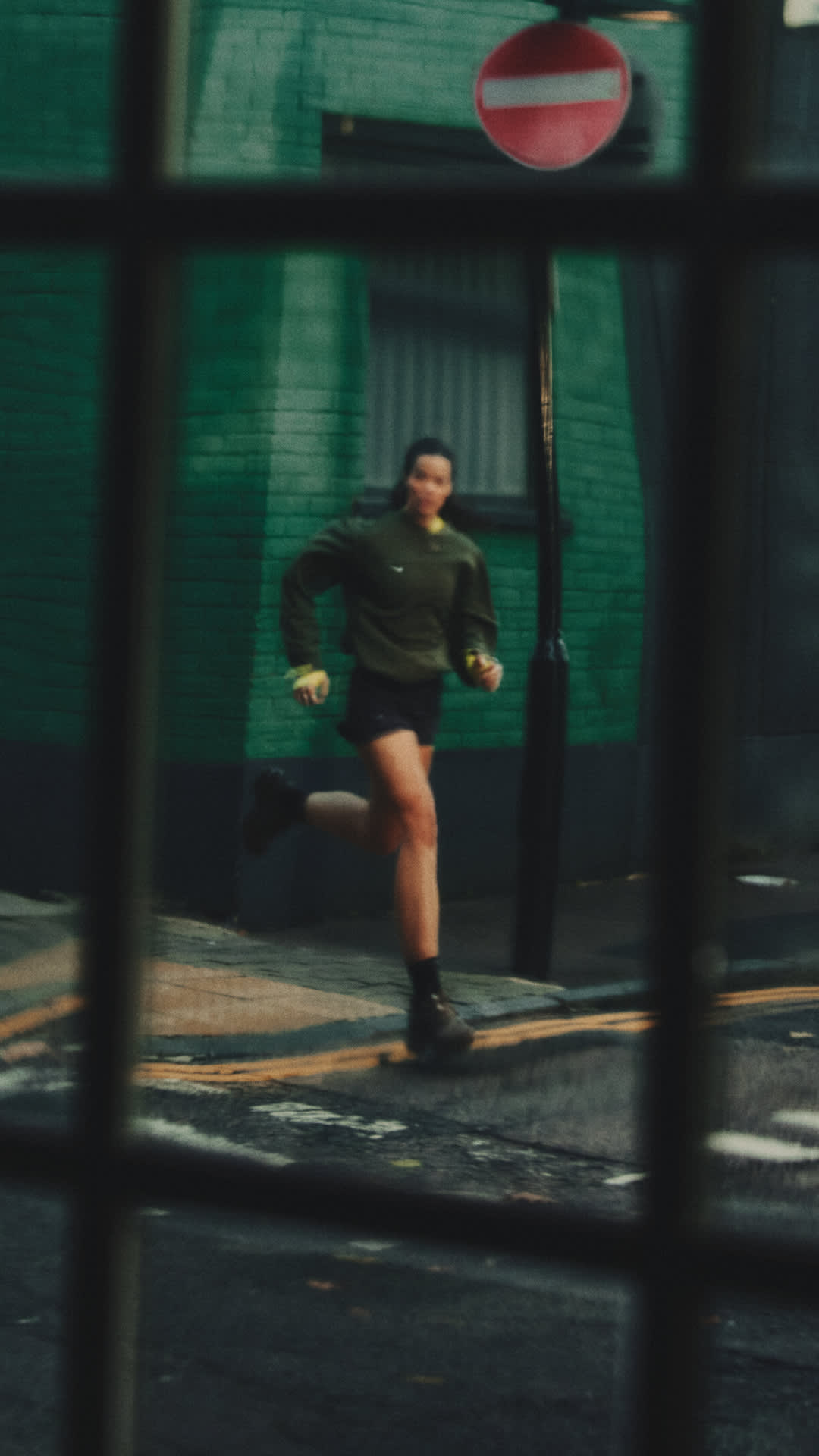 Pegasus Premium "Light Loden": Editorial