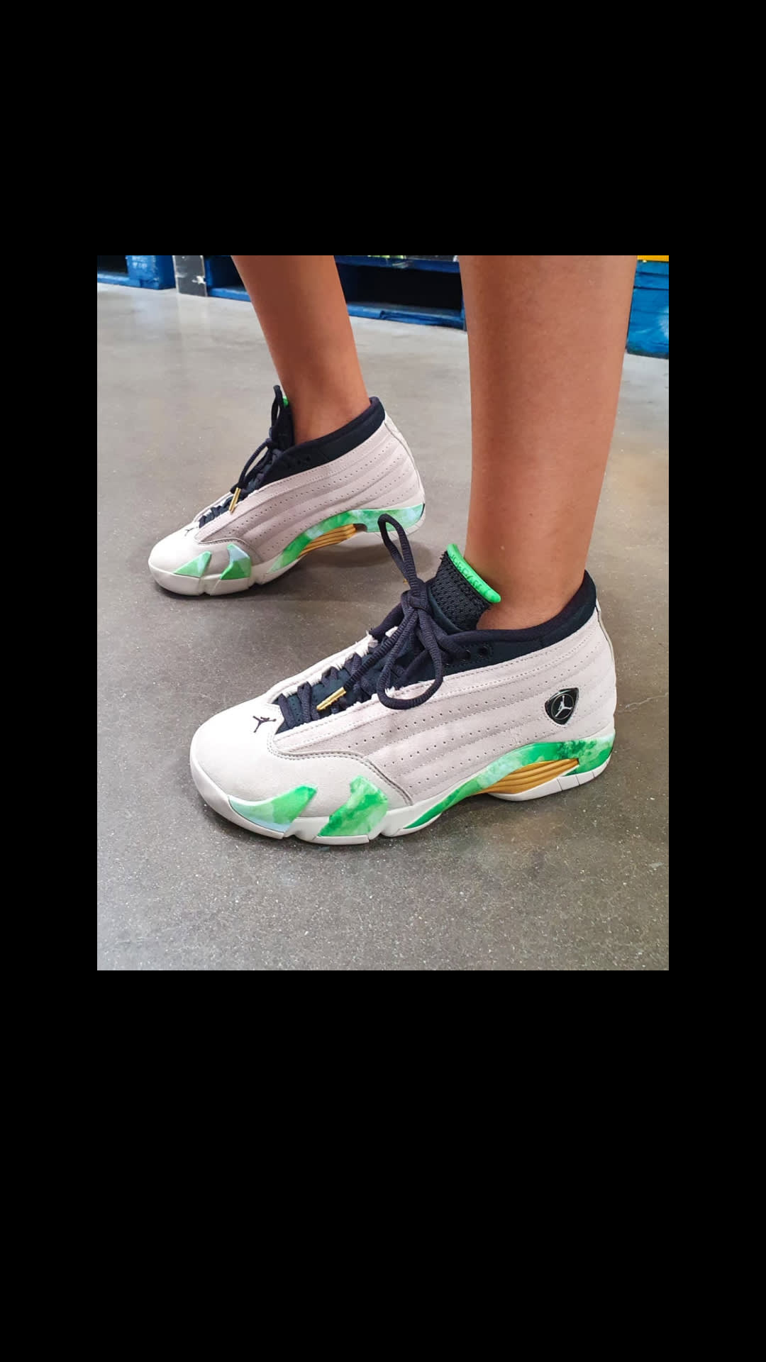 Kickcheck vom 17.11.