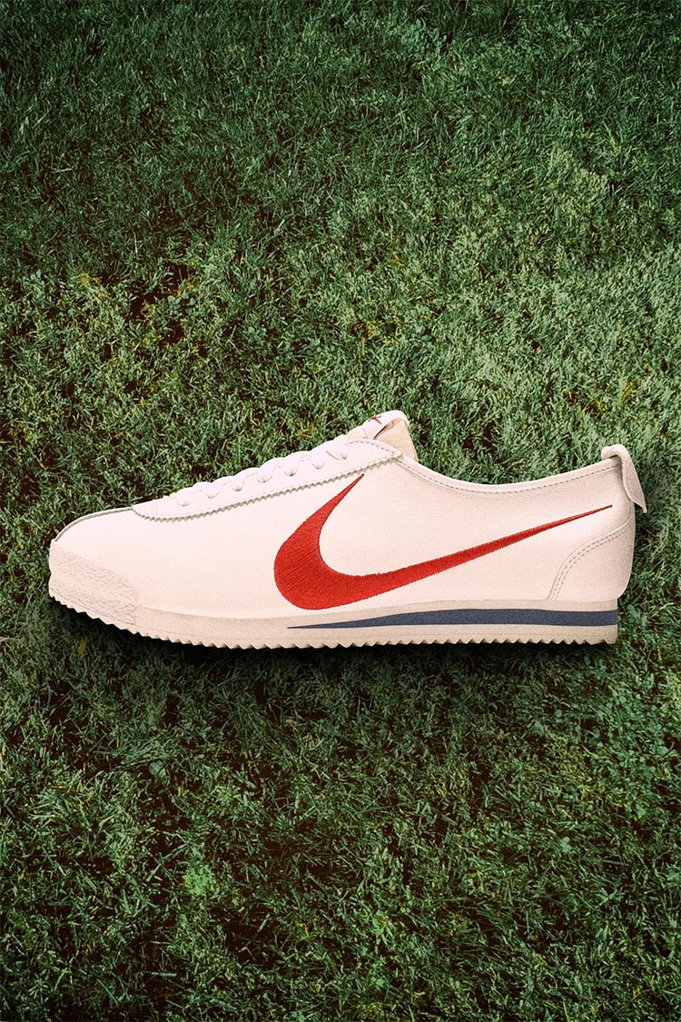 Shoe dog nike cortez top