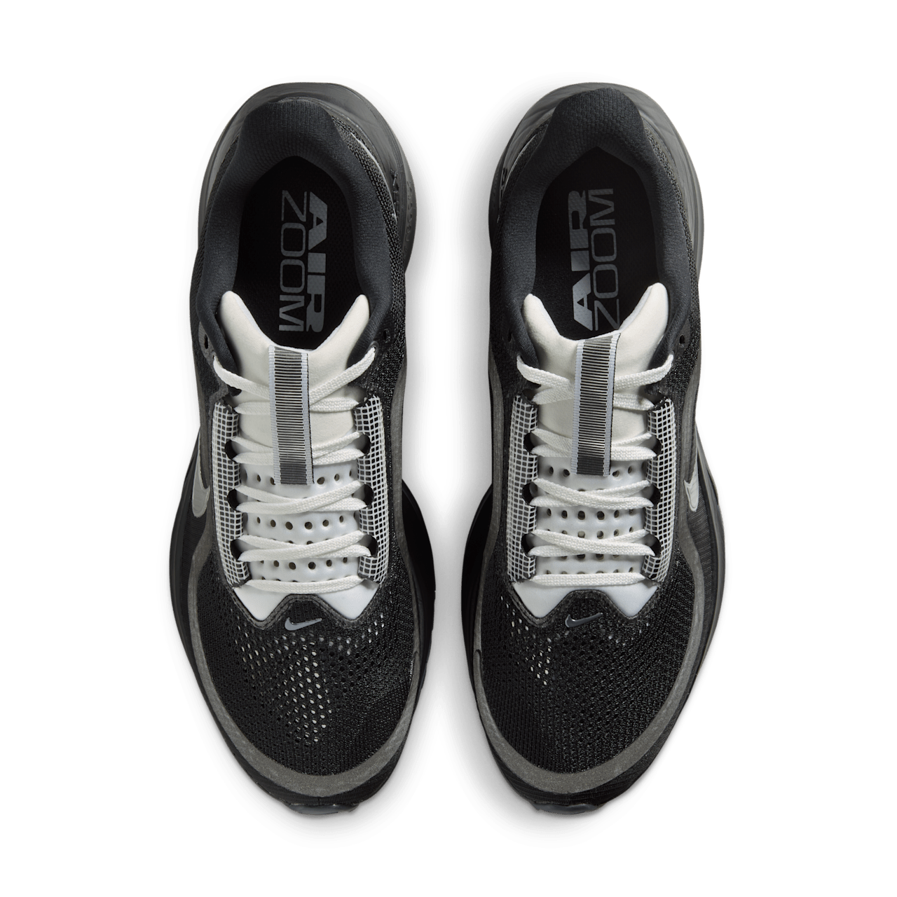 PEGASUS PREMIUM SP Release Date