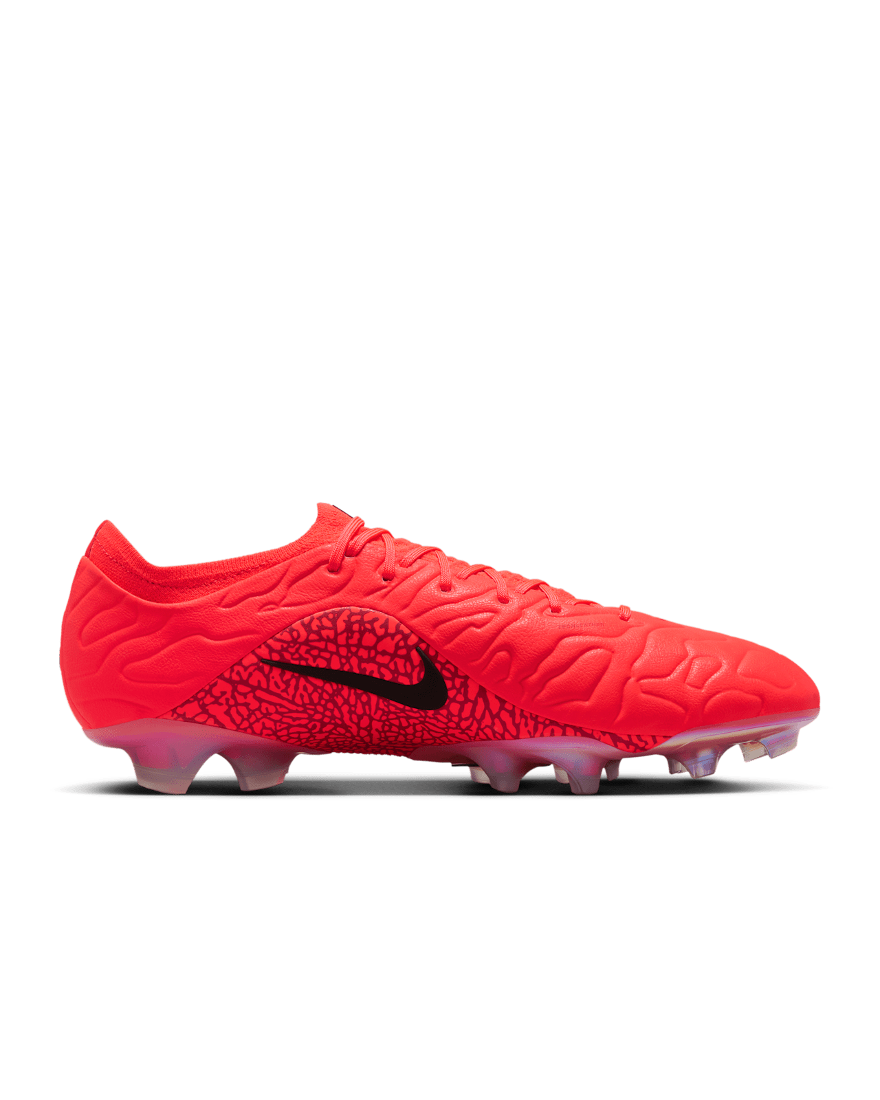 TIEMPO MAESTRO ELITE FG SE Release Date
