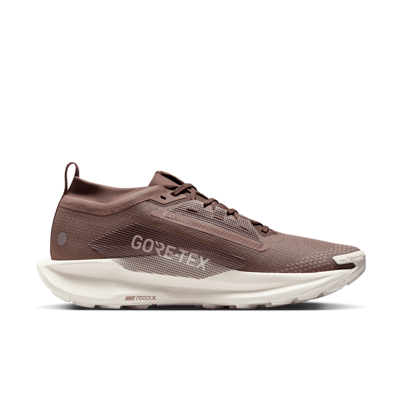 Nike Pegasus Trail 5 GORE-TEX SP Release Date