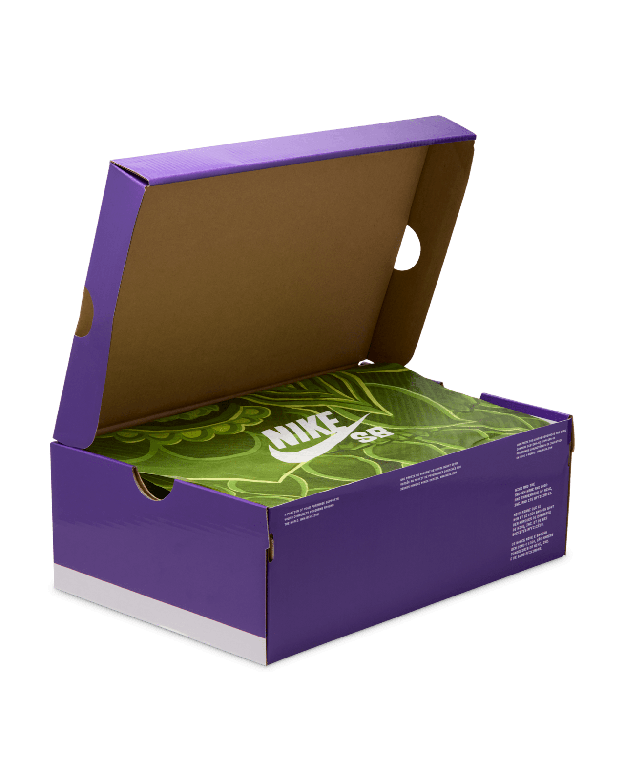 Data de llançament de les Nike SB Dunk Low "Som Tum" "Canvas and Parachute Beige" (IB6206-701)