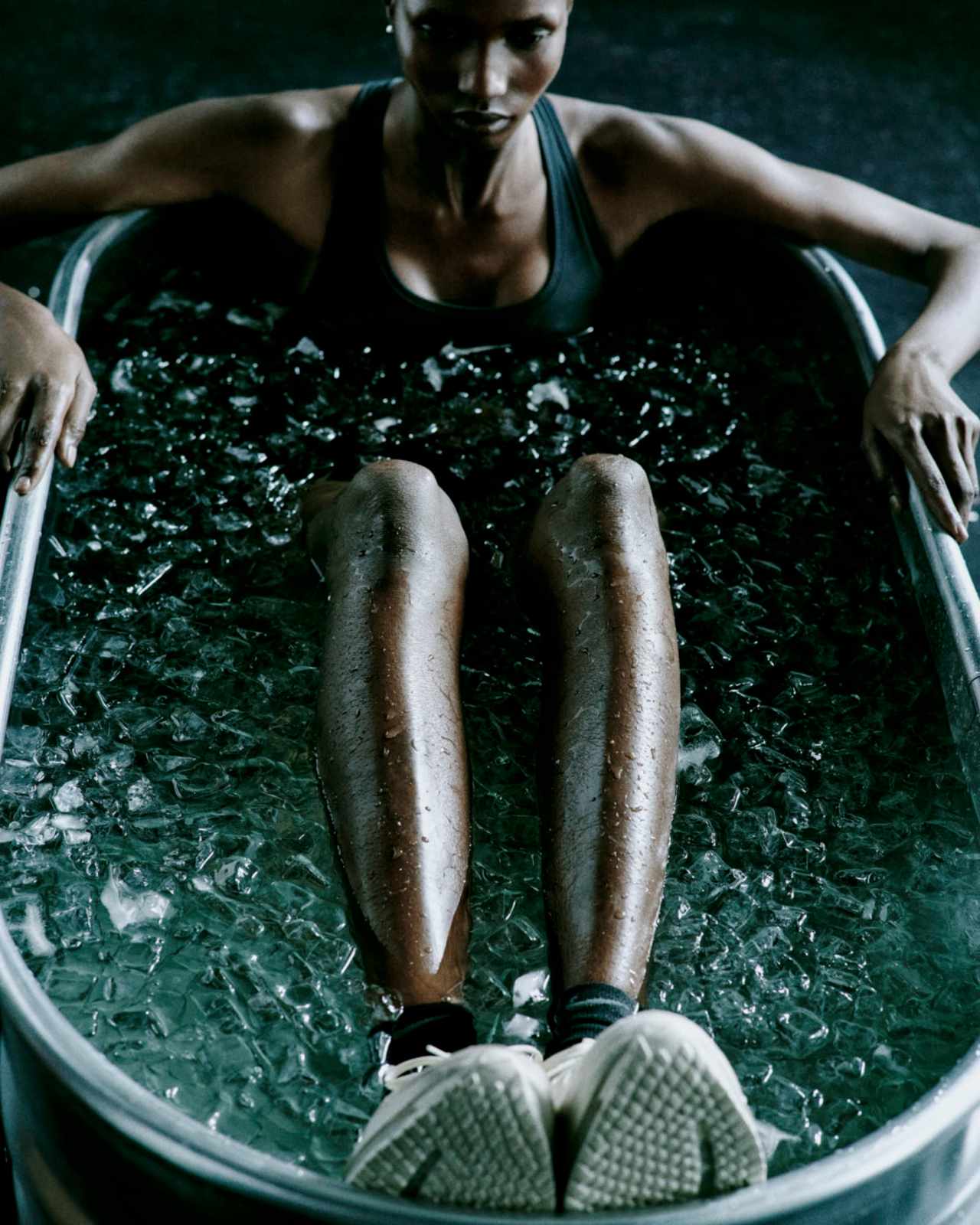 Pegasus Premium "Natural" (IQ5691-100) – Data del lancio