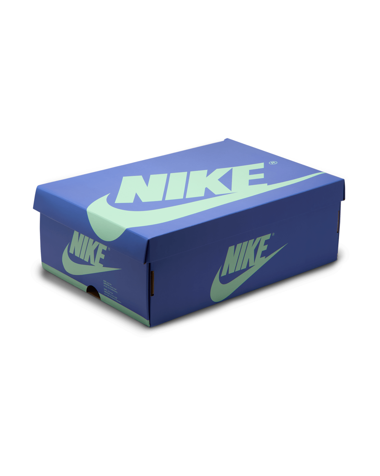 Air Jordan 1 Low OG "Regency Purple and Dark Raisin" (IH2309-500) – Erscheinungsdatum