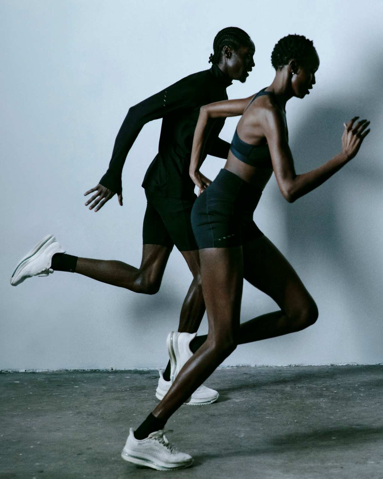 Pegasus Premium „Natural” (IQ5691-100) – data premiery