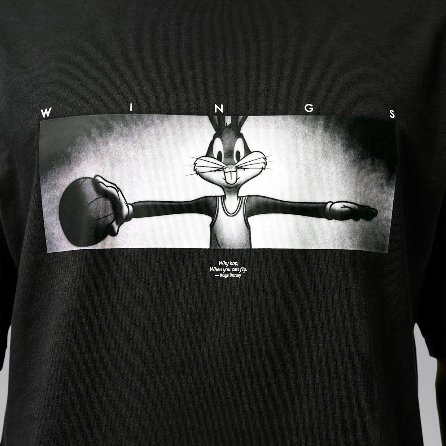 Мужская футболка Jordan Brooklyn Space Jam Wings Crew-Neck, цвет: Чёрный / Белый — фото 4