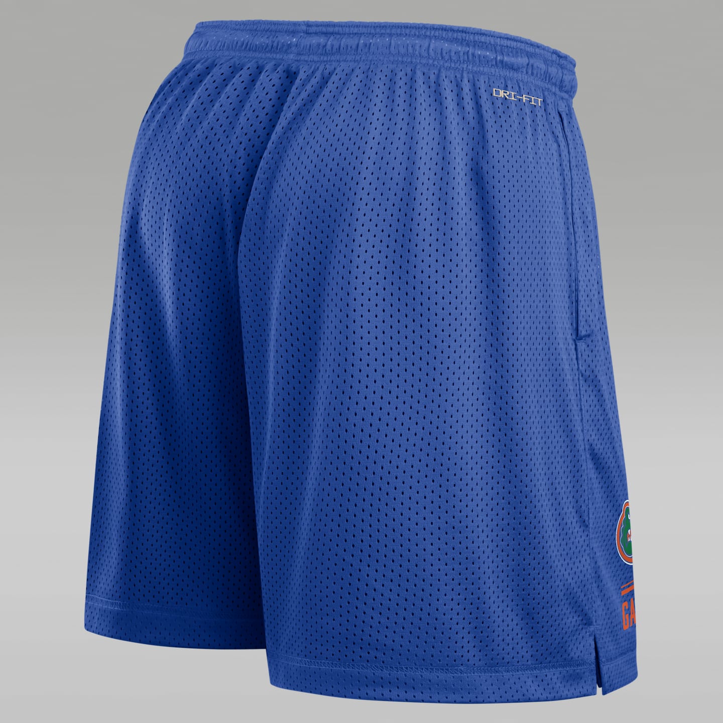 Мужские двусторонние шорты Jordan Brand Florida Courtside Dri-FIT, цвет: Королевский синий — фото 2