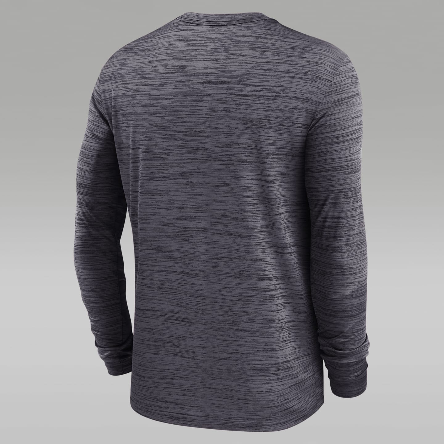 Мужская футболка Jordan Brand Florida Sideline Velocity Dri-FIT, цвет: Чёрный — фото 2