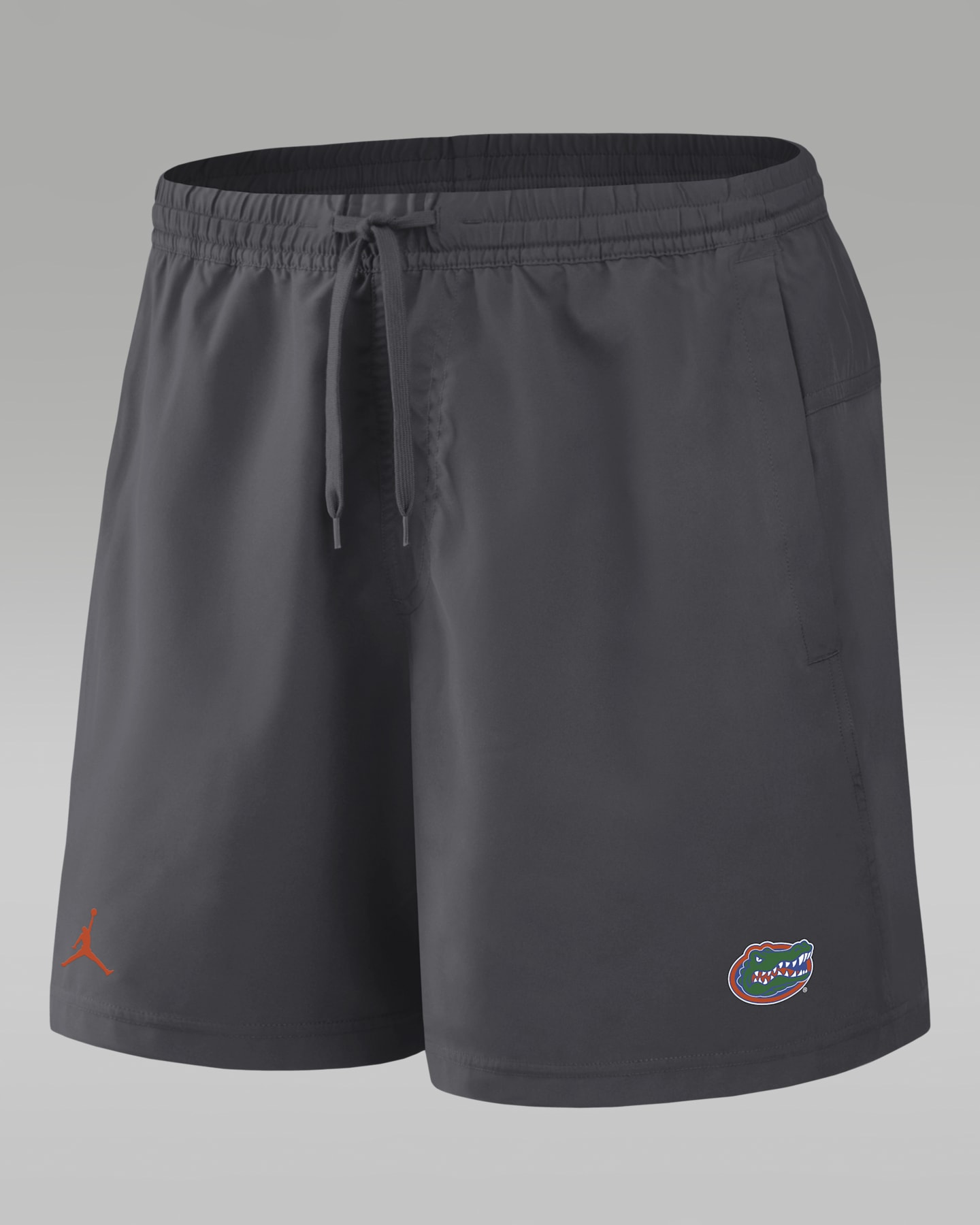Мужские шорты Jordan Brand Florida Primetime Primary Logo Form Dri-FIT, цвет: Антрацитовый — фото 3