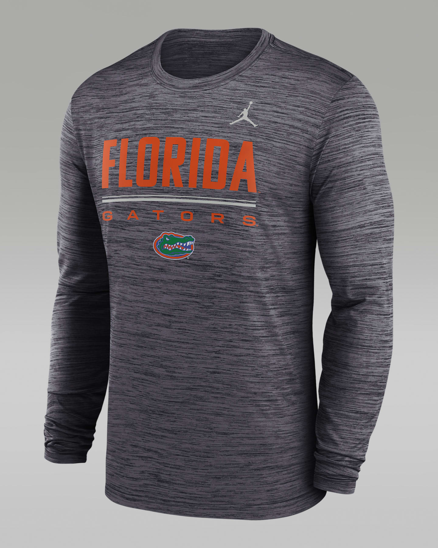 Мужская футболка Jordan Brand Florida Sideline Velocity Dri-FIT, цвет: Чёрный — фото 3