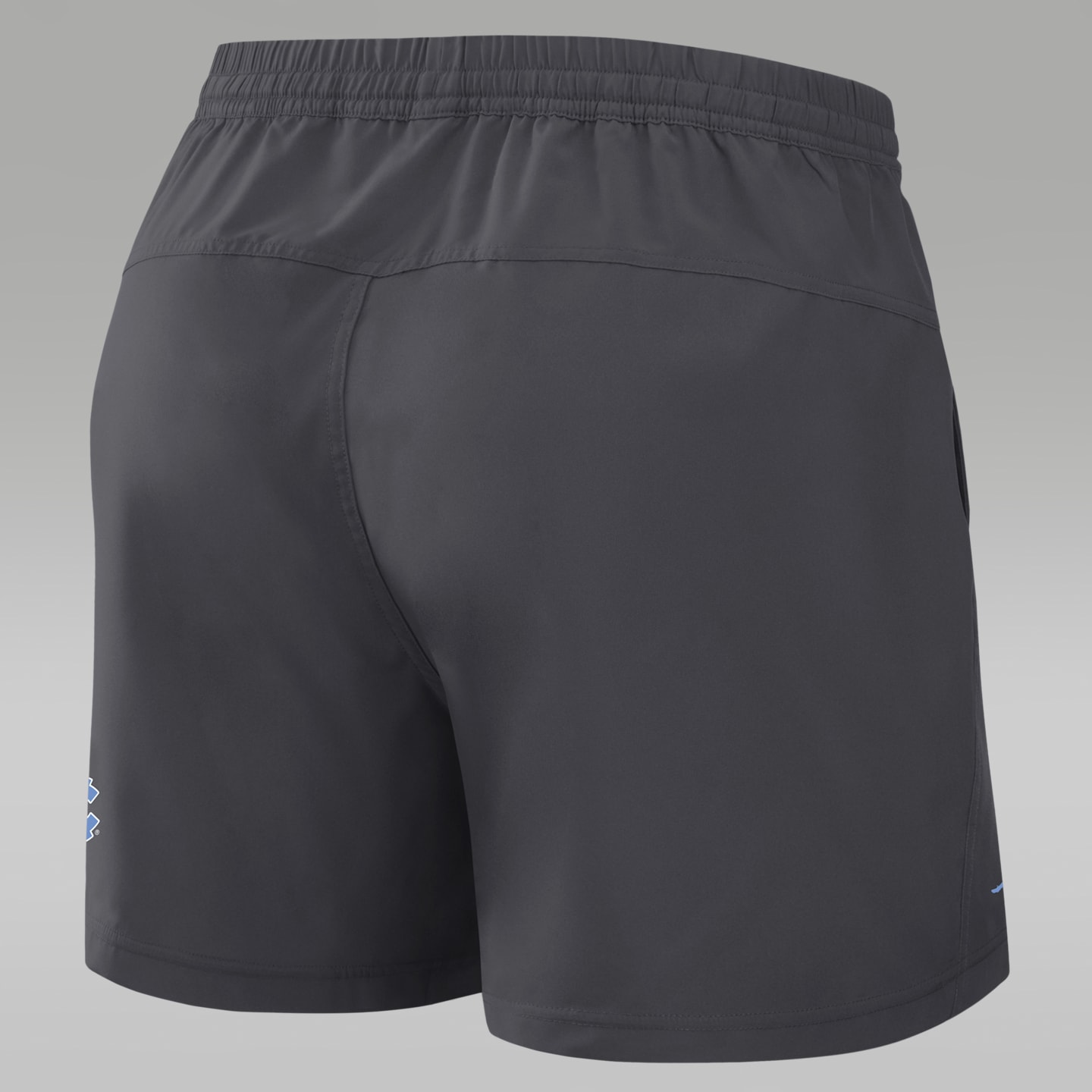 Мужские шорты Jordan Brand North Carolina Primetime Primary Logo Dri-FIT Form, цвет: Антрацитовый — фото 2