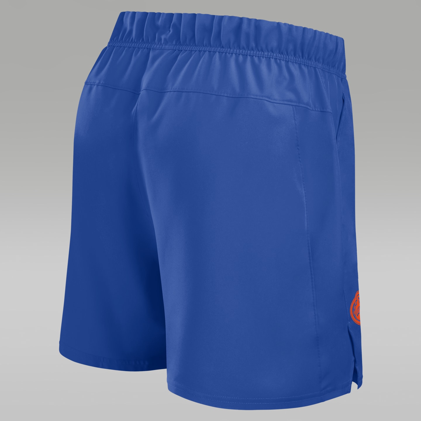 Мужские шорты Jordan Brand Florida Primetime Victory Primary Logo Dri-FIT, цвет: Королевский синий — фото 2