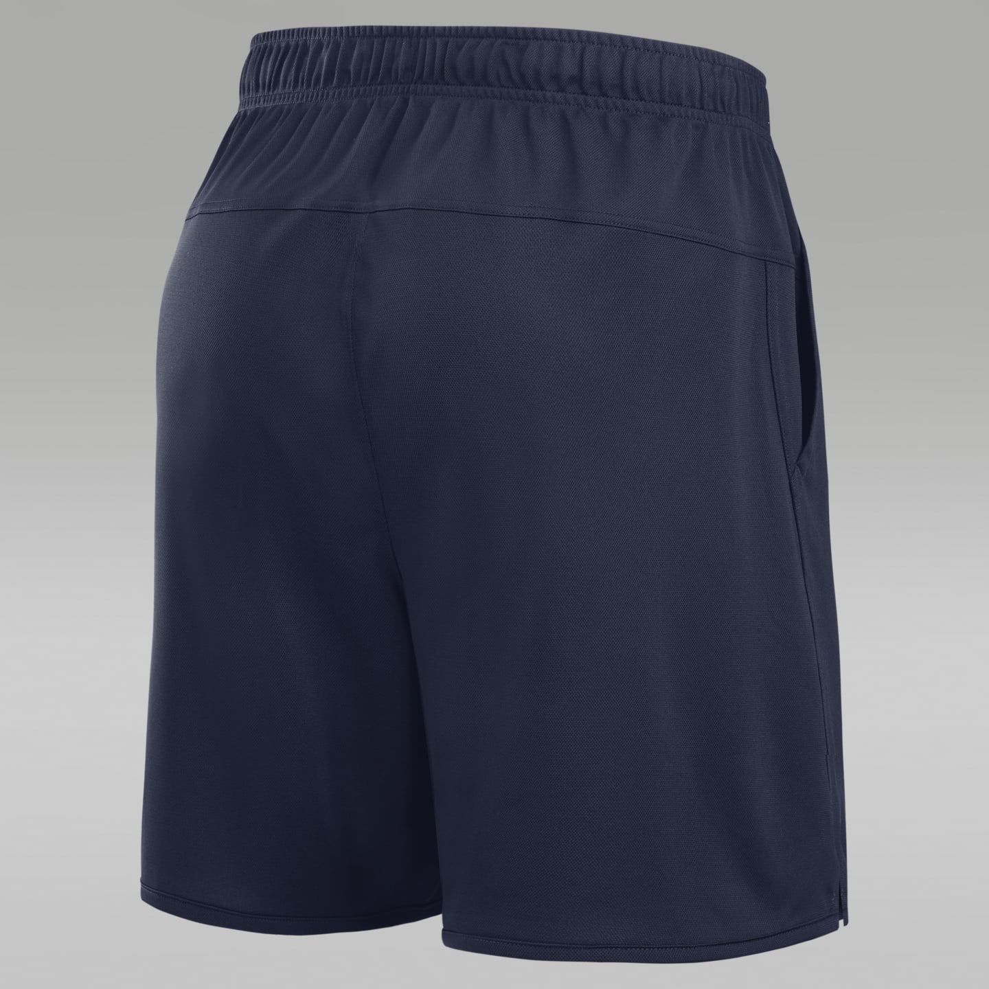 Мужские шорты Jordan Dri-FIT College Michigan Totality, цвет: Тёмно-синий — фото 2