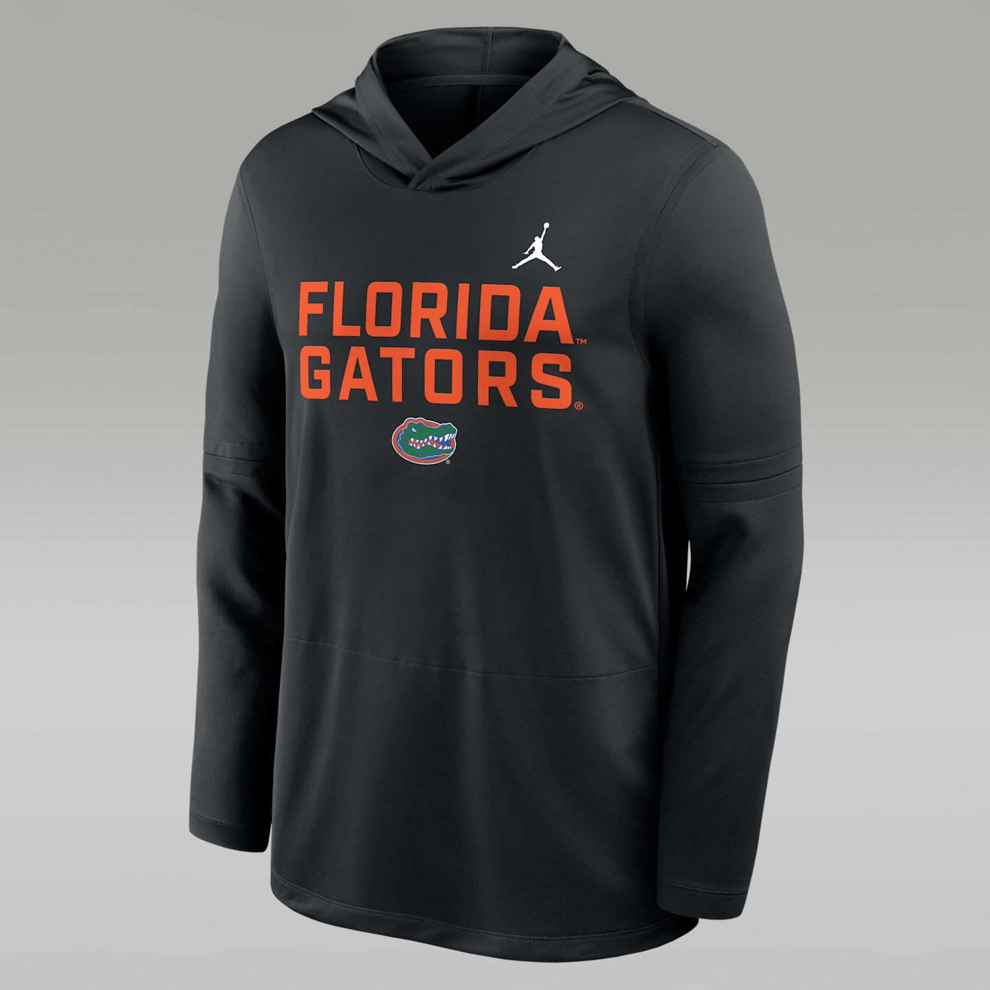 Мужской лонгслив с капюшоном Jordan Brand Florida Sideline Dri-FIT, цвет: Чёрный — фото 1