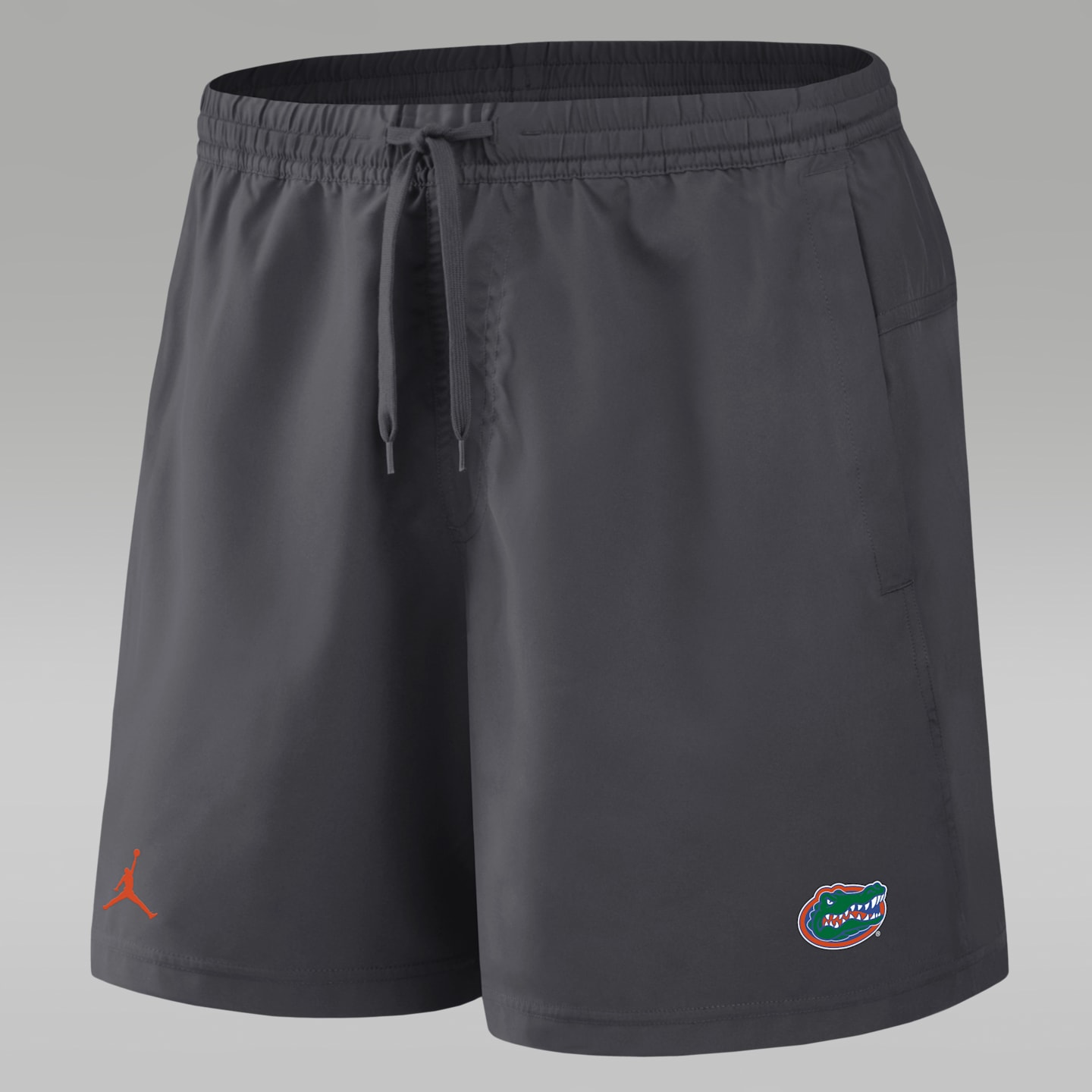 Мужские шорты Jordan Brand Florida Primetime Primary Logo Form Dri-FIT, цвет: Антрацитовый