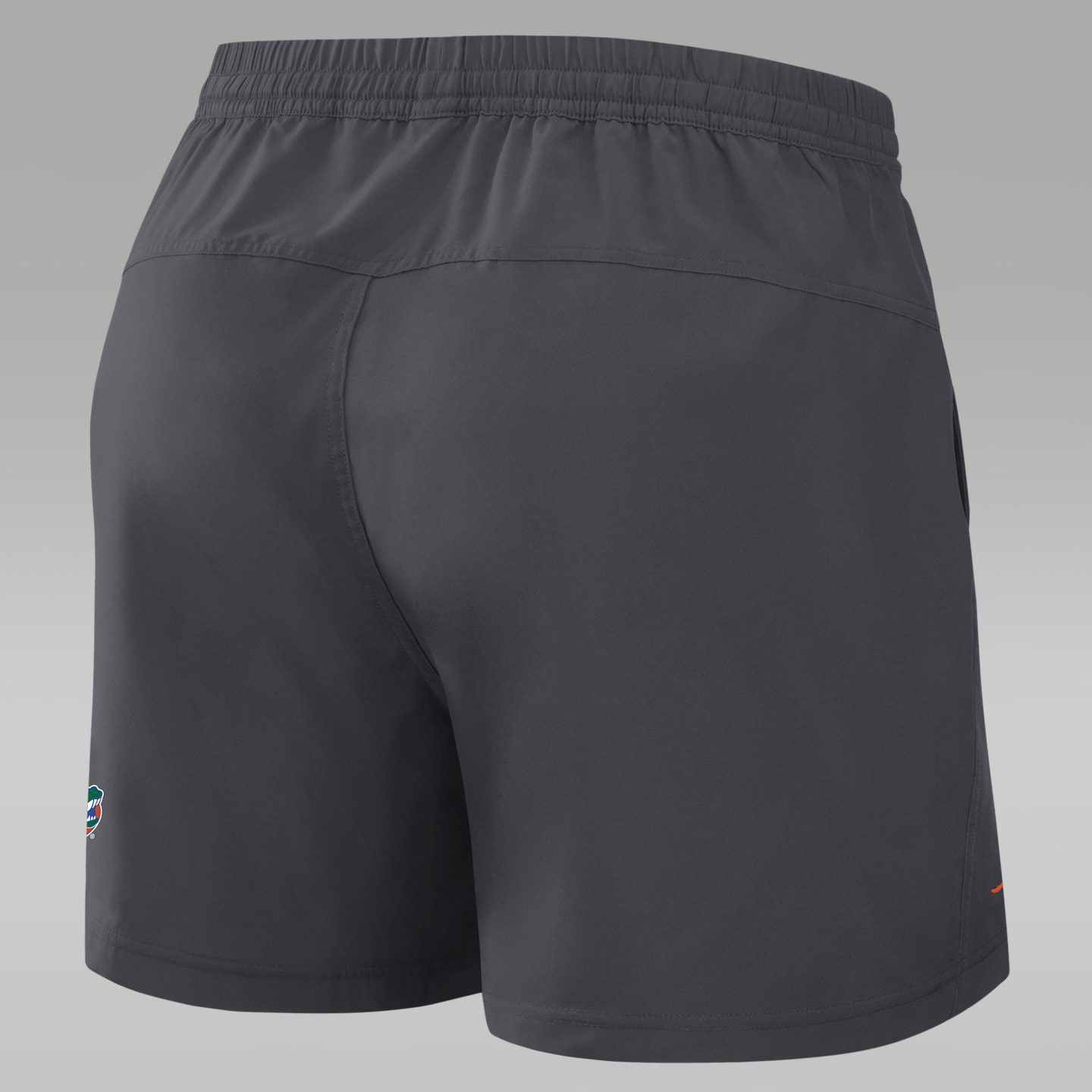 Мужские шорты Jordan Brand Florida Primetime Primary Logo Form Dri-FIT, цвет: Антрацитовый — фото 2