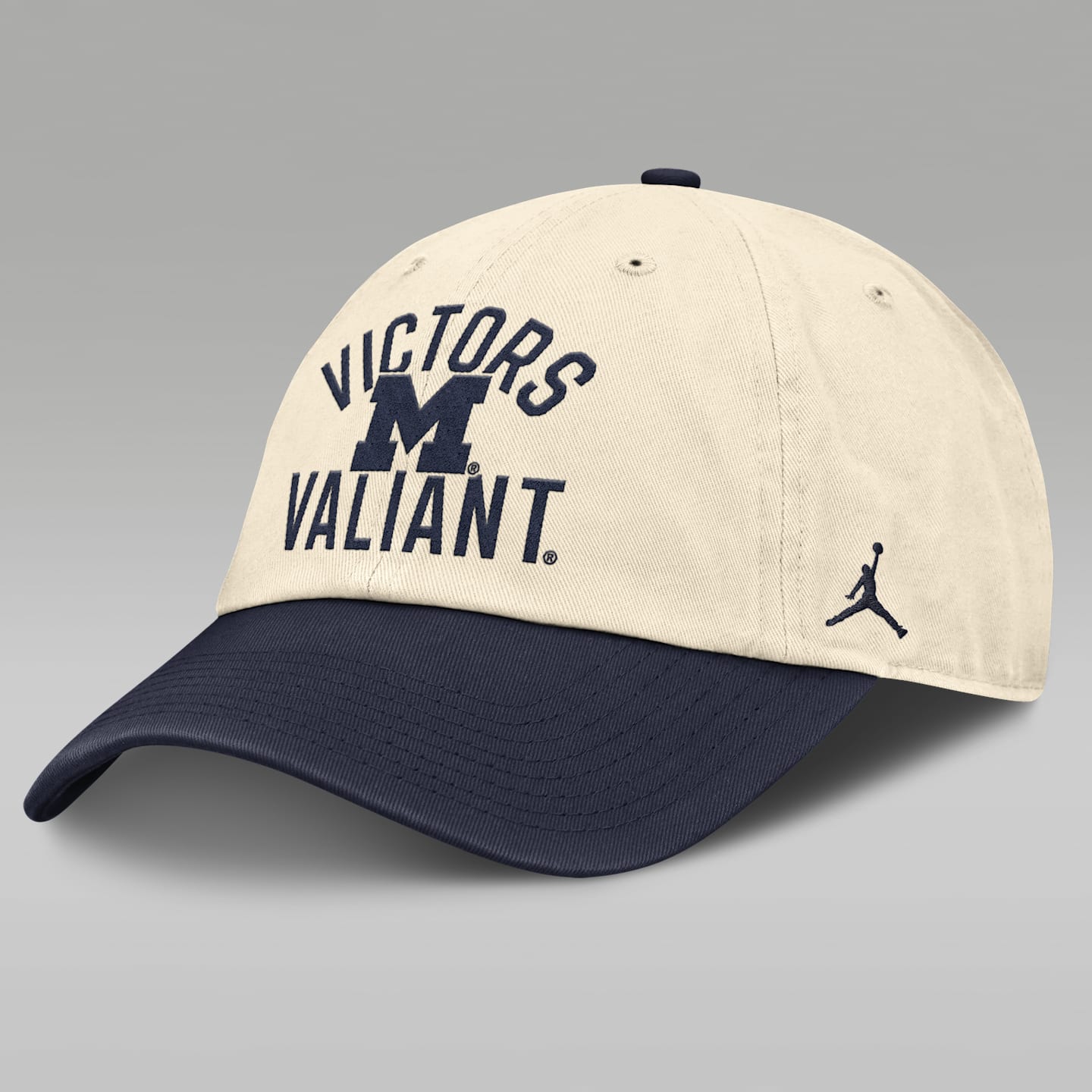 Мужская кепка Jordan Brand College Michigan Primetime 2-Tone Club, цвет: Натуральный — фото 1