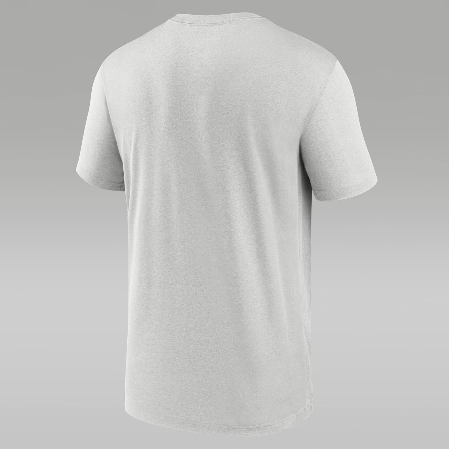 Мужская футболка Jordan Florida Sideline Legend Dri-FIT College, цвет: Серый — фото 2