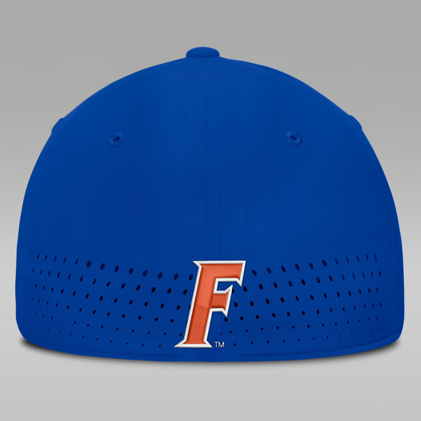 Мужская кепка Jordan Brand Florida Sideline Club Gameday Dri-FIT, цвет: Королевский синий — фото 2