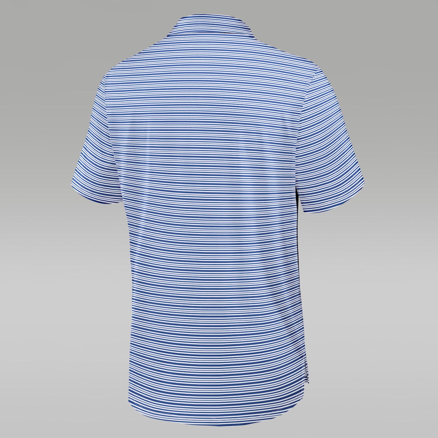 Мужские поло Florida Primetime Jordan Brand Dri-FIT College Polo, цвет: Королевский синий / Белый — фото 2