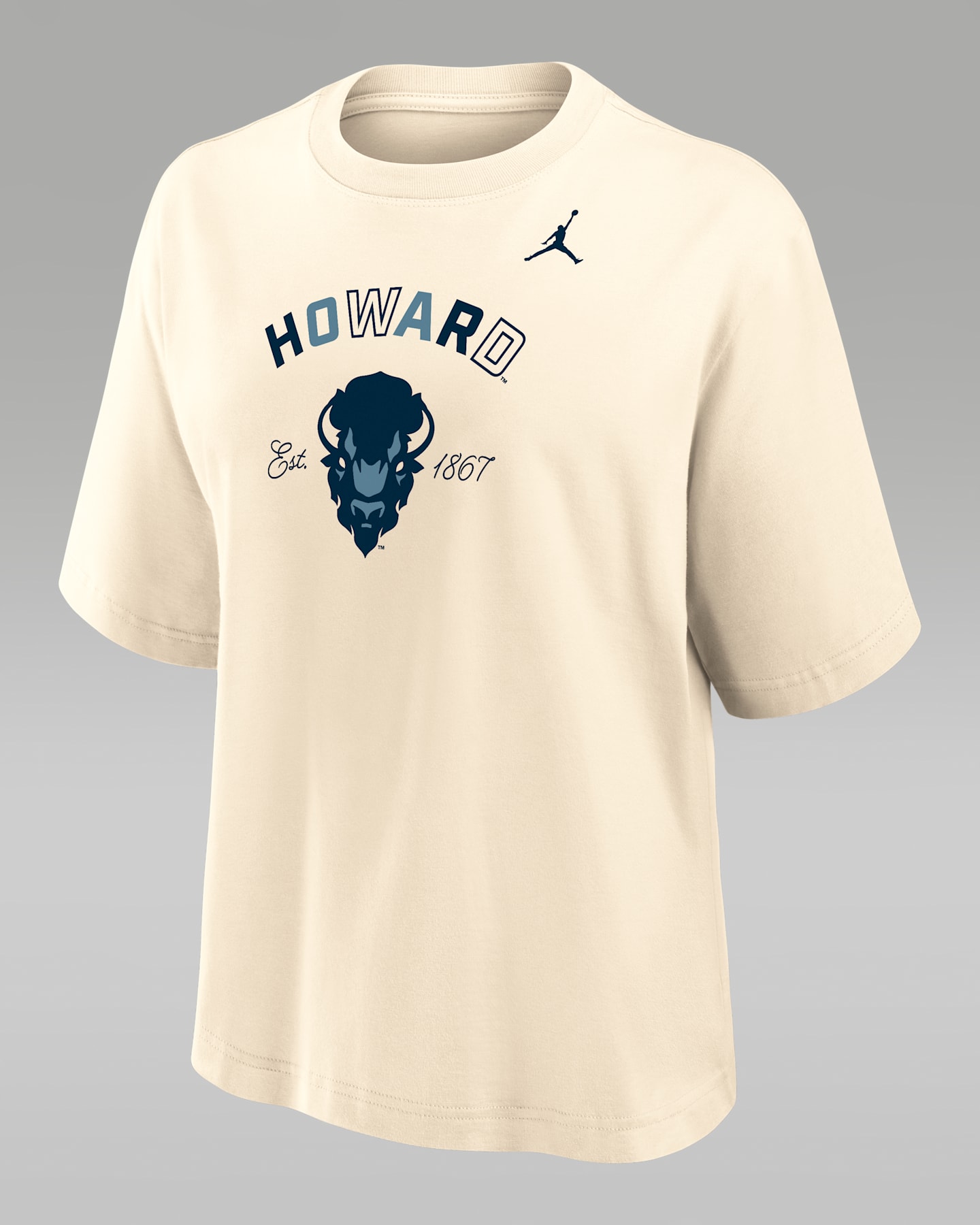 Женская хлопковая футболка Jordan Boxy, College Howard University, цвет: Натуральный — фото 2