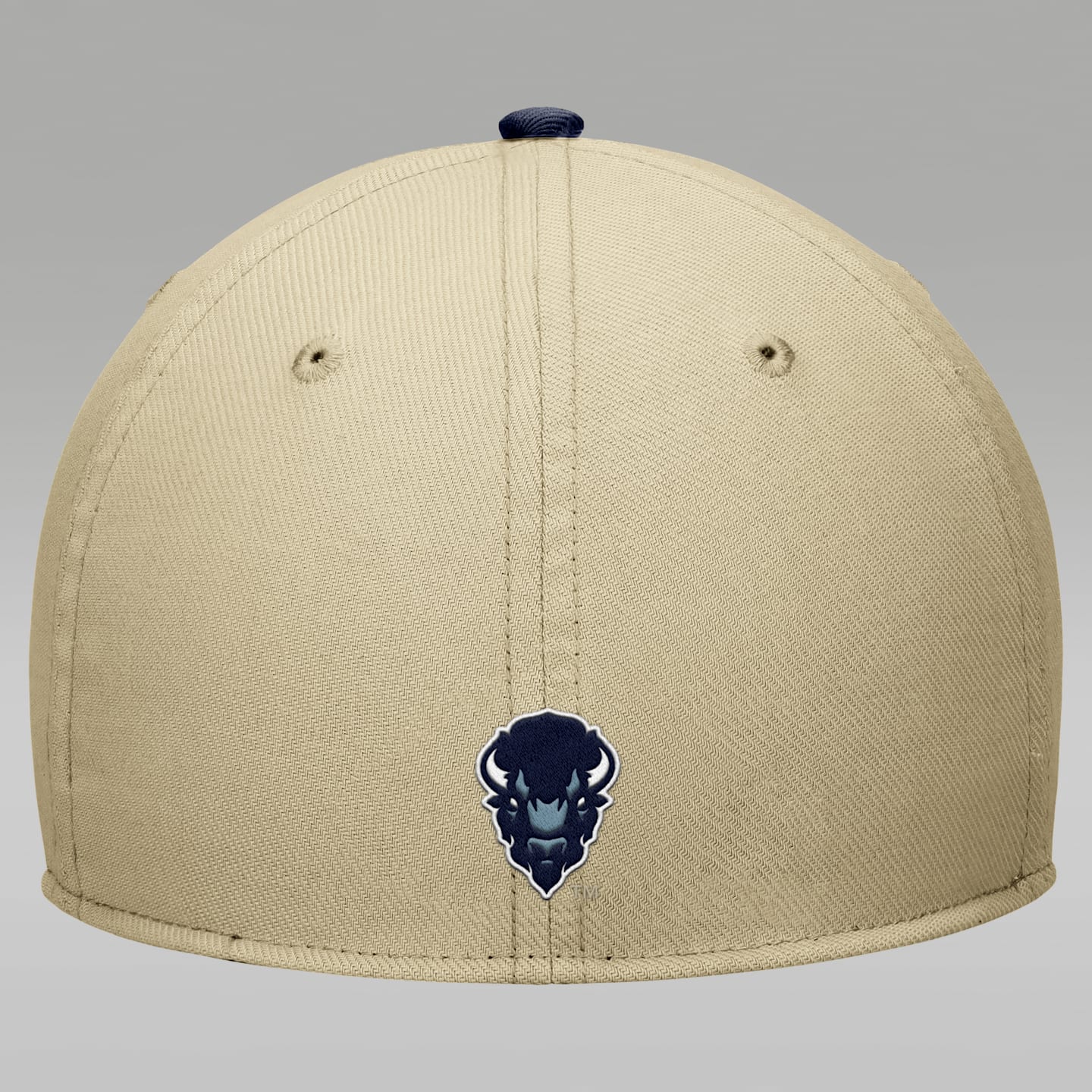 Кепка Jordan Howard University SwooshFlex Dri-FIT, цвет: Бежевый — фото 2