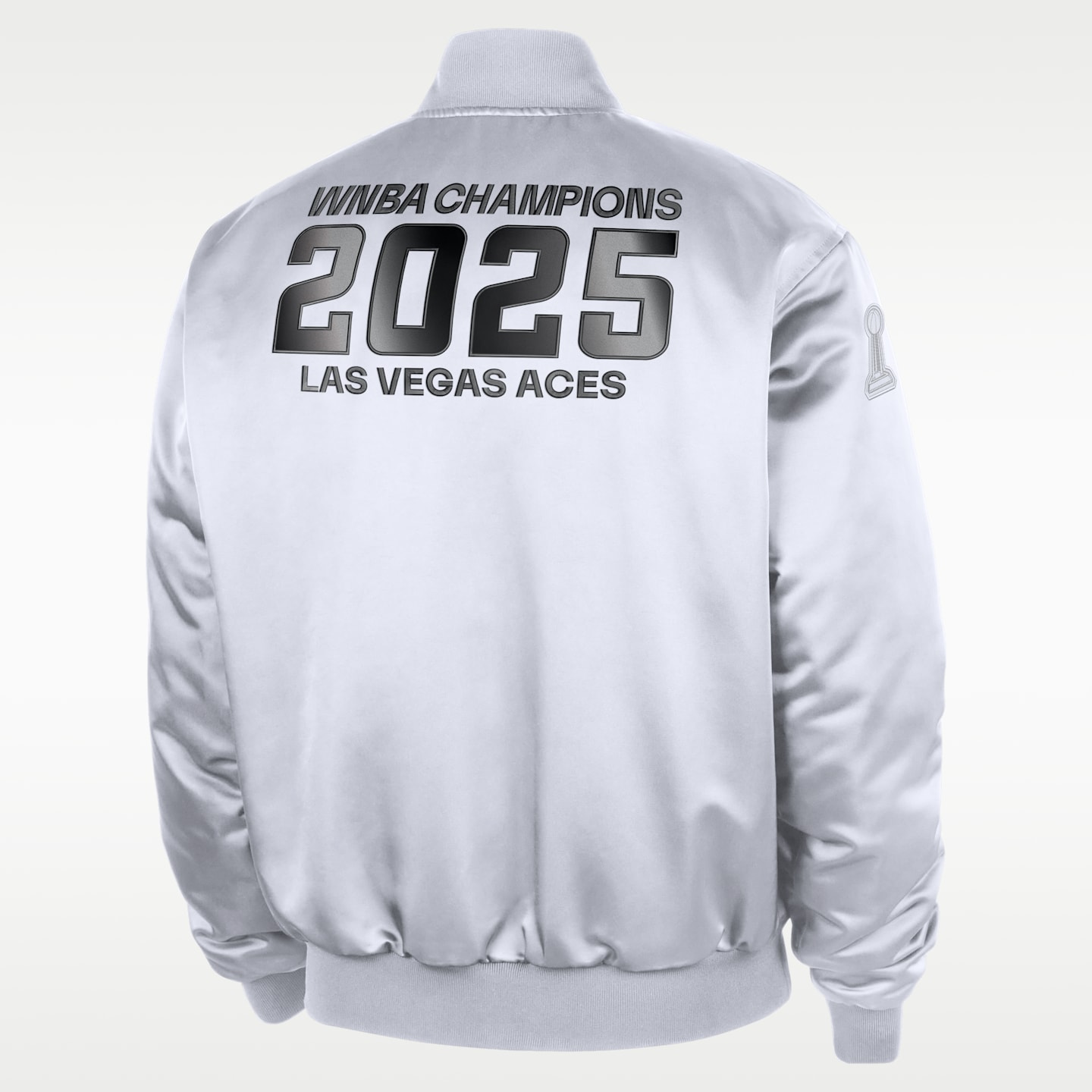 Баскетбольная куртка Nike WNBA Las Vegas Aces Game, цвет: Белый / Серебряный — фото 2