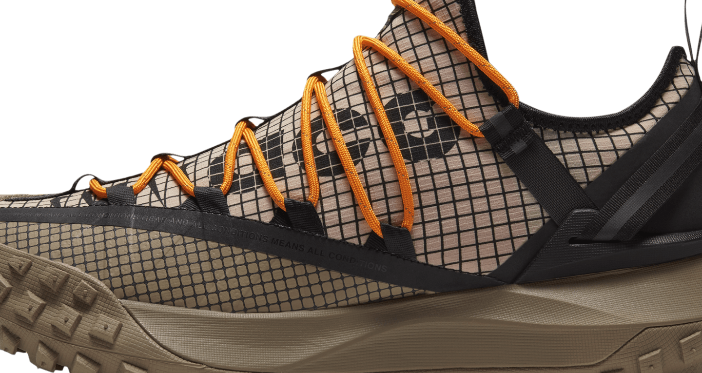 acg mountain fly low fossil stone