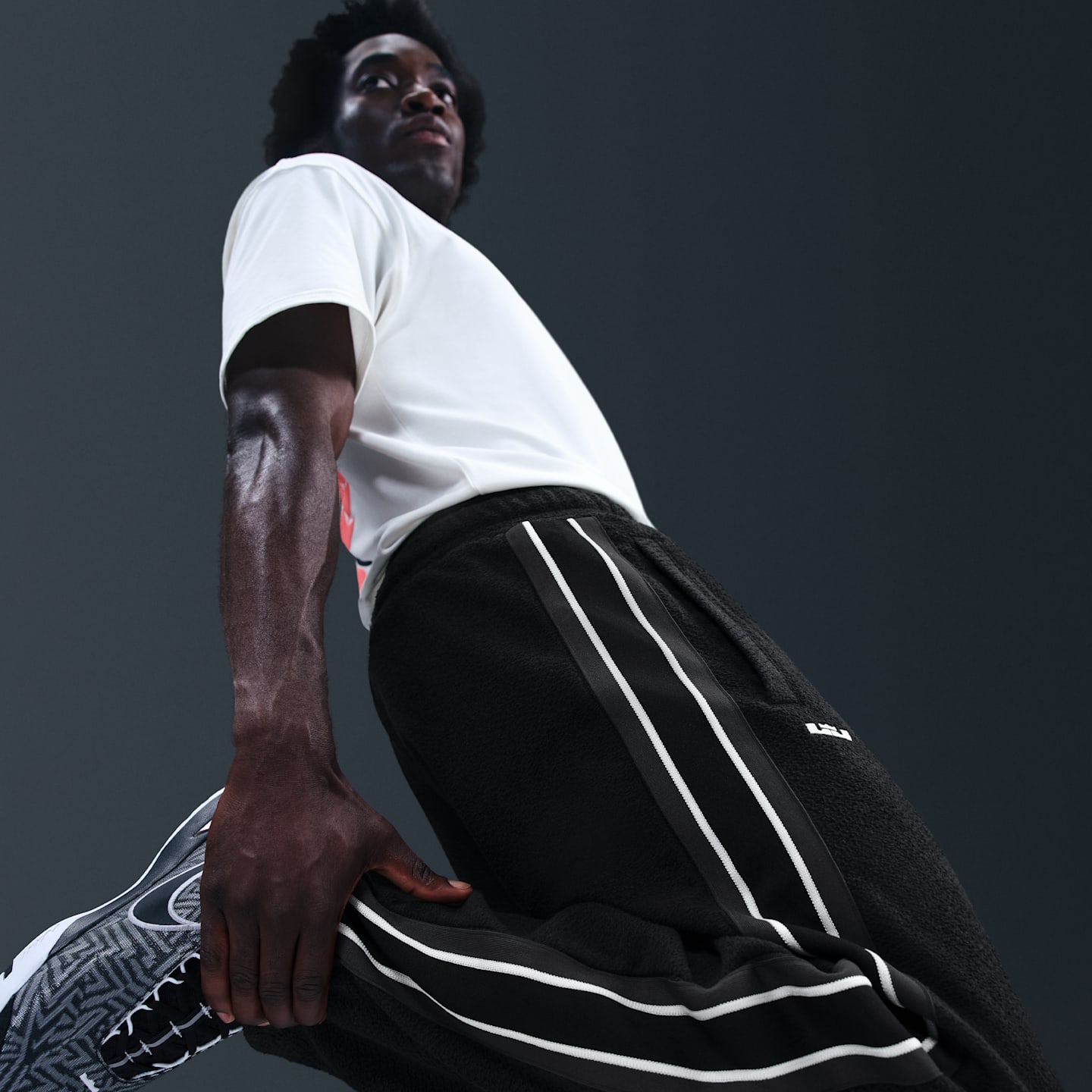 Мужские брюки Nike LeBron Standard Issue Men's Therma-FIT Basketball Pants — фото 3