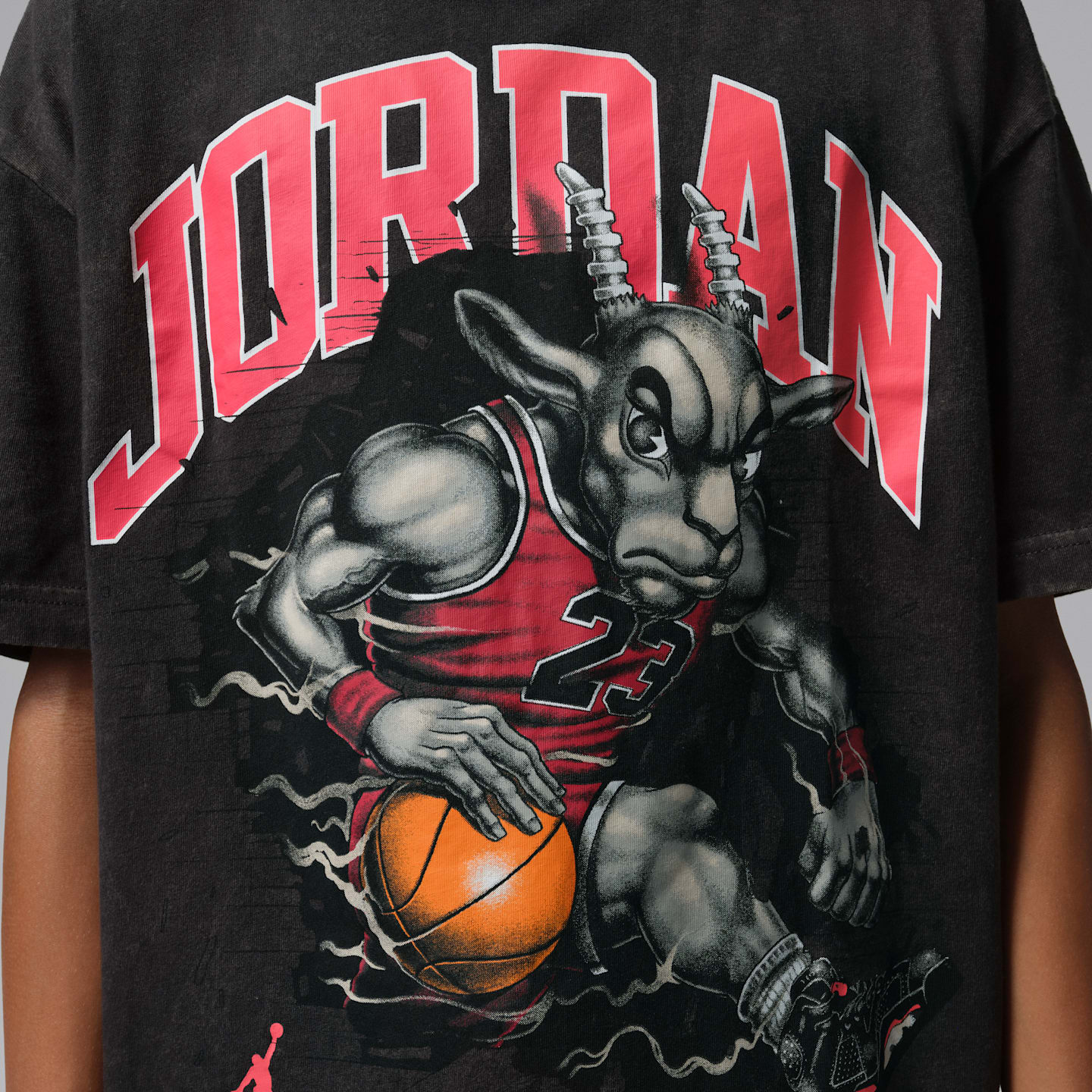 Детские футболки Jordan Big Kids' The Goat T-Shirt — фото 4