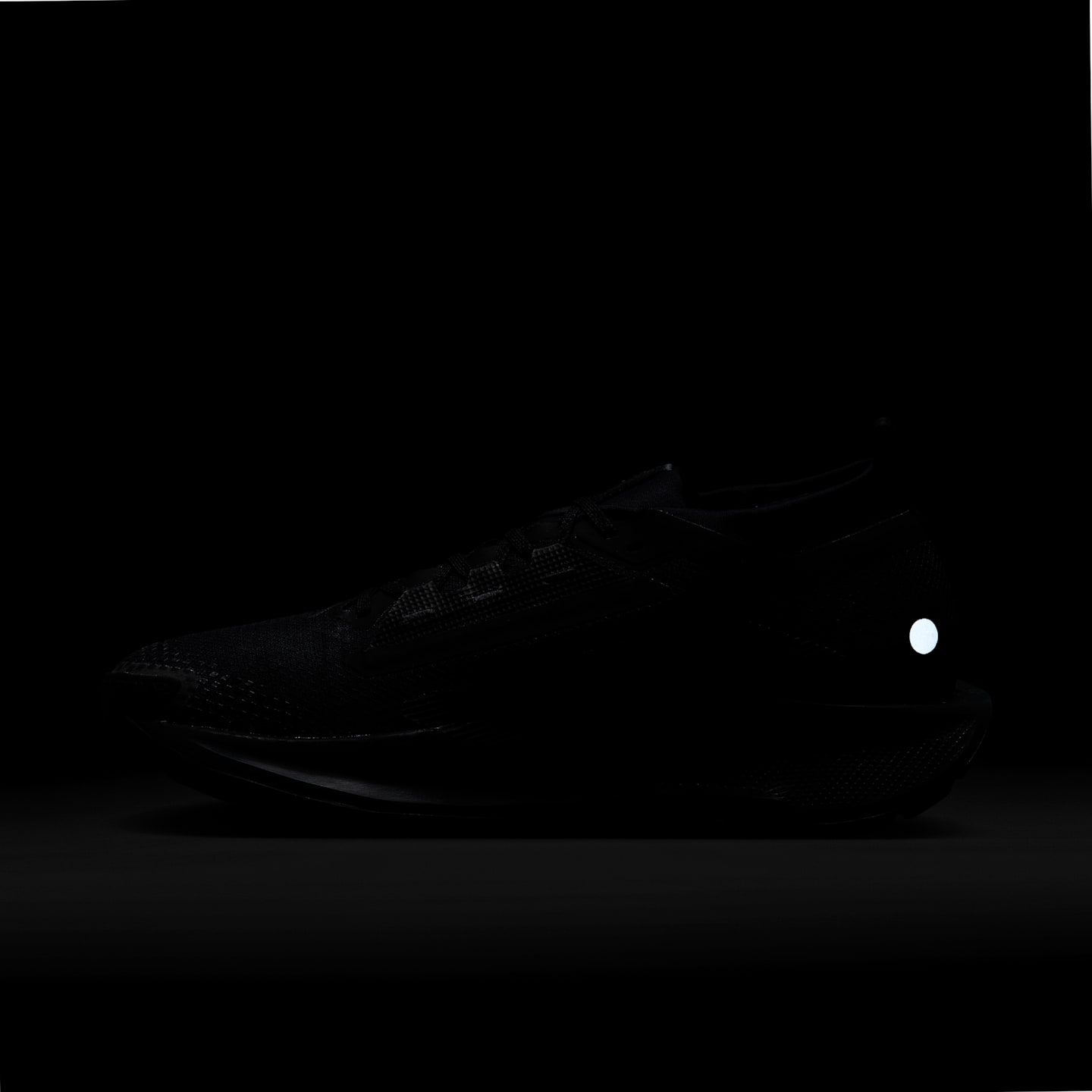 Мужские водонепроницаемые кроссовки Nike Pegasus Trail 5 GORE-TEX — фото 10