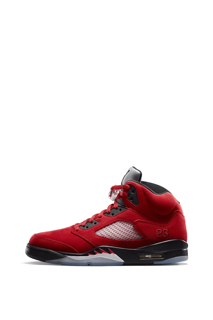 toro bravo jordan 5