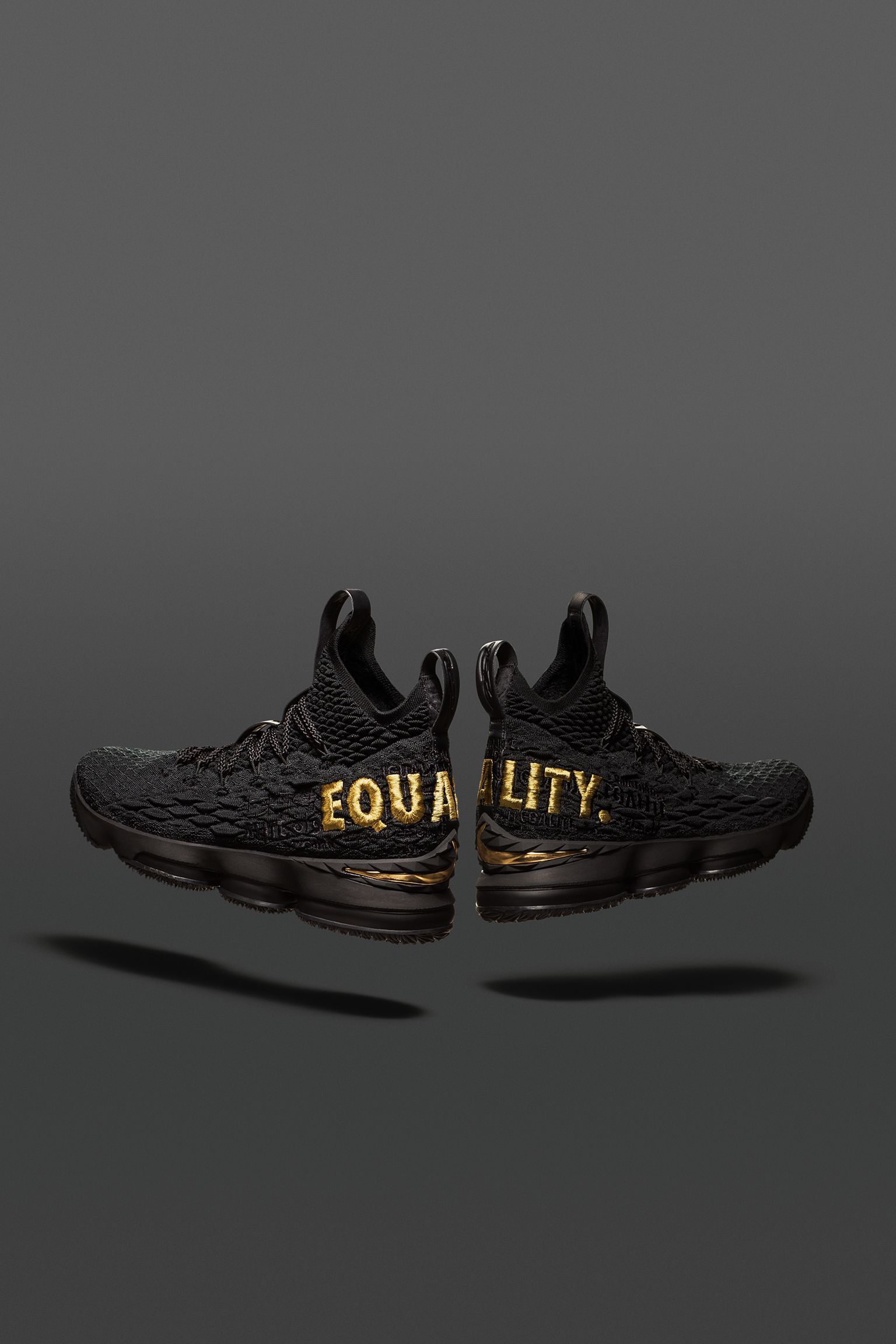 equality lebron shoes