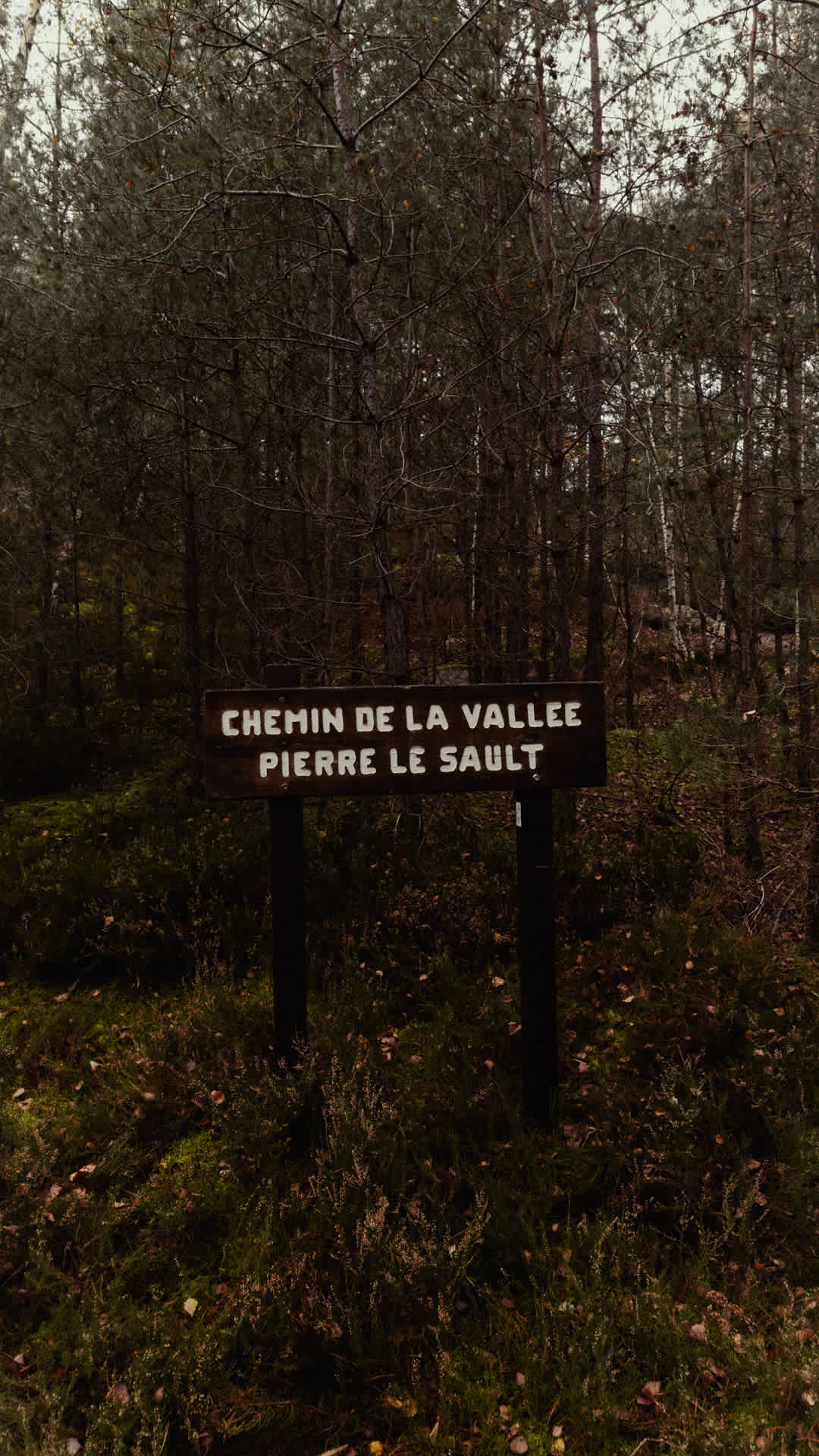 SNKRS Hiking Club: tizedik kiadás