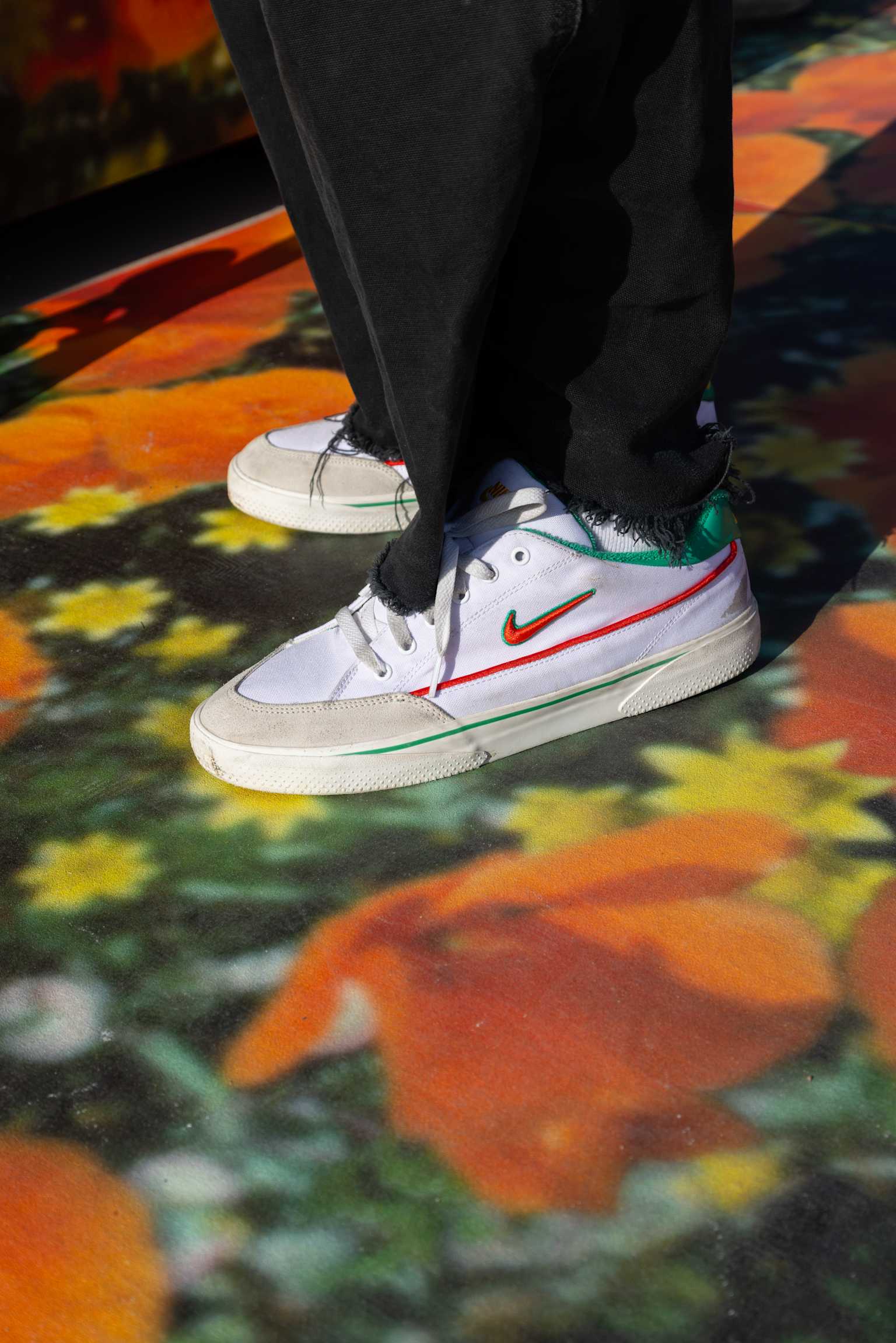 Nike SB x The Wizard of Oz Skatepark