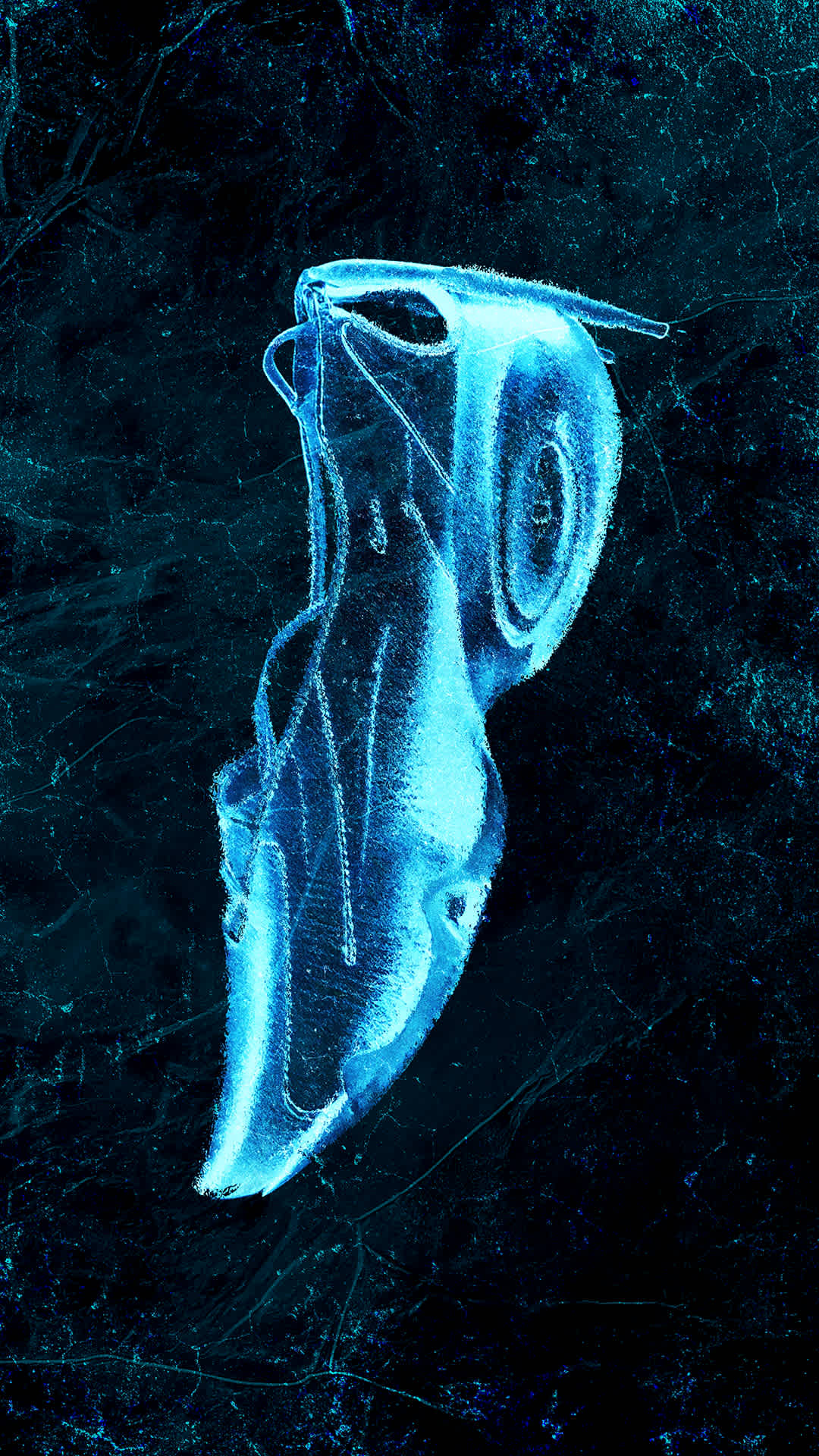 SNKRS Reloaded: 6 DAYS OF HEAT