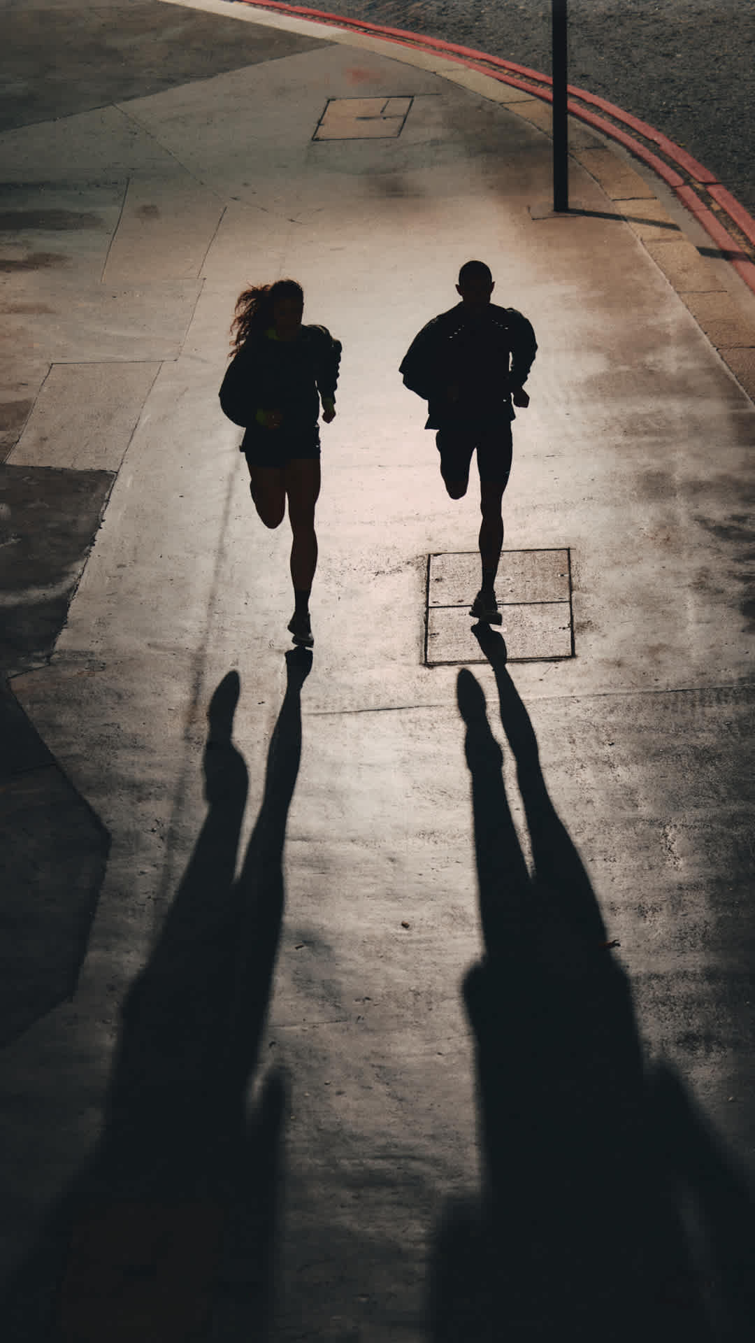 Pegasus Premium "Light Loden": 專題