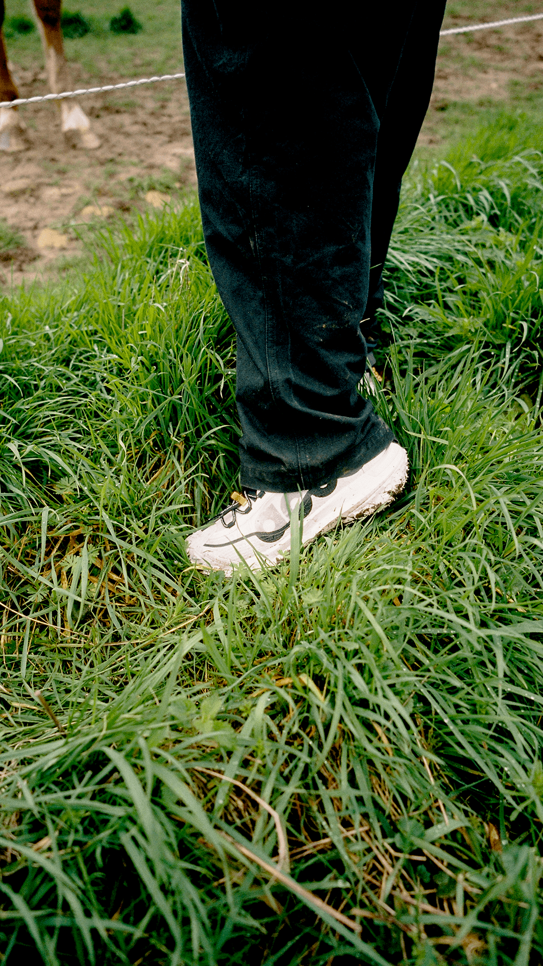 Street SNKRS : ACG Mountain Fly 2 Low