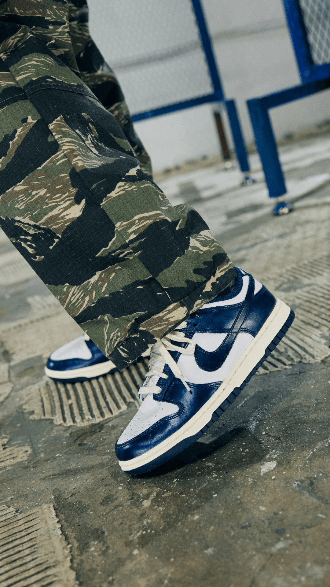 SNKRS Style: W Dunk Low PRM