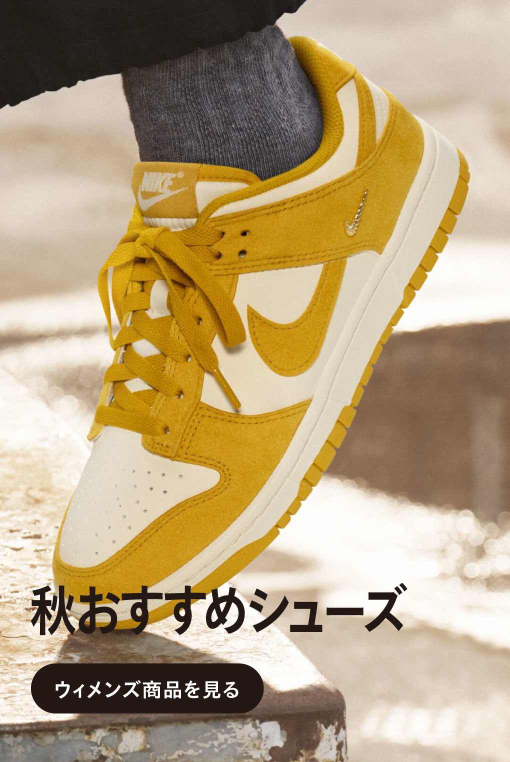 NIKE スニーカー レディース NIKE スニーカー レディース ナイキ コートレガシー リフト