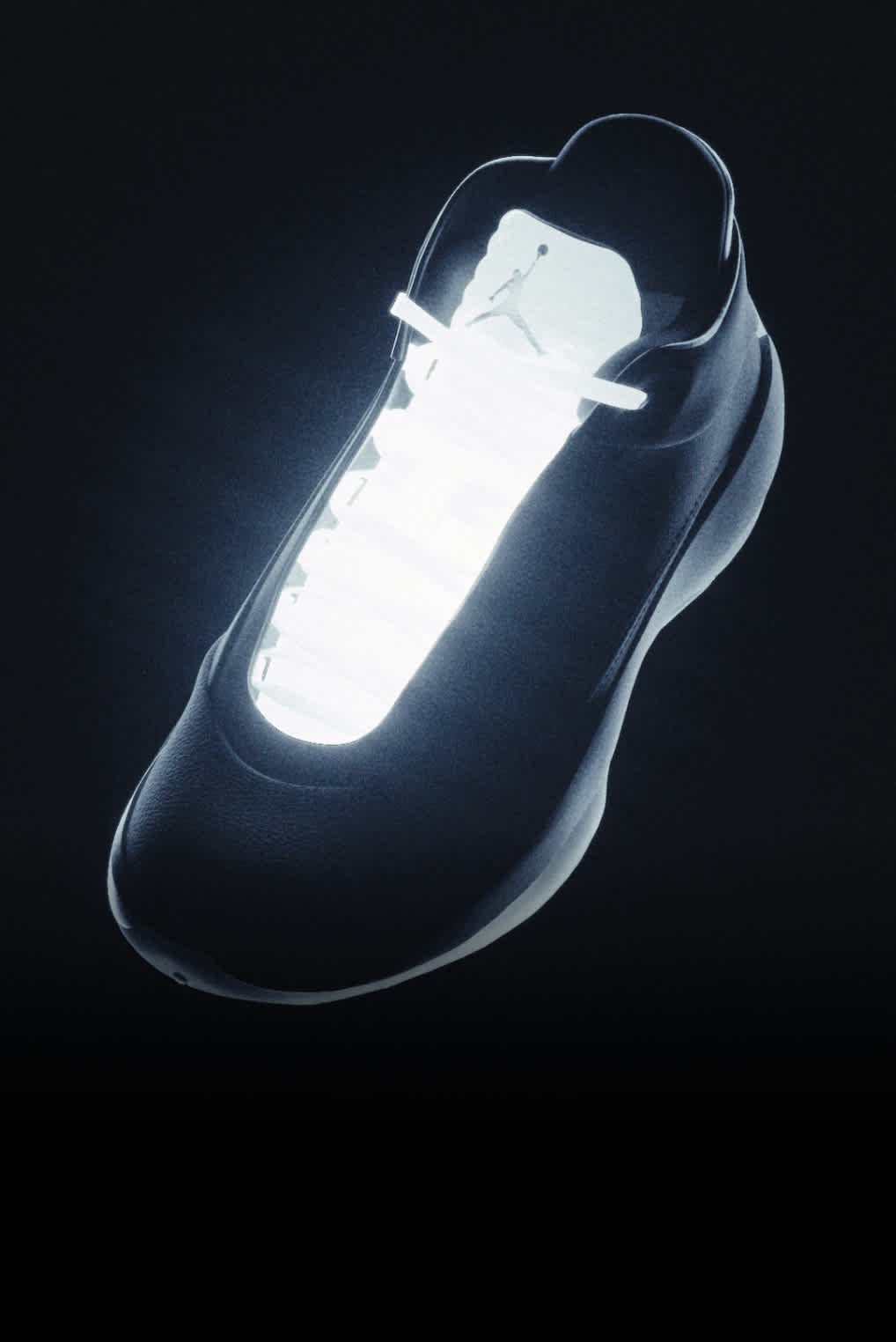 Air Jordan 40