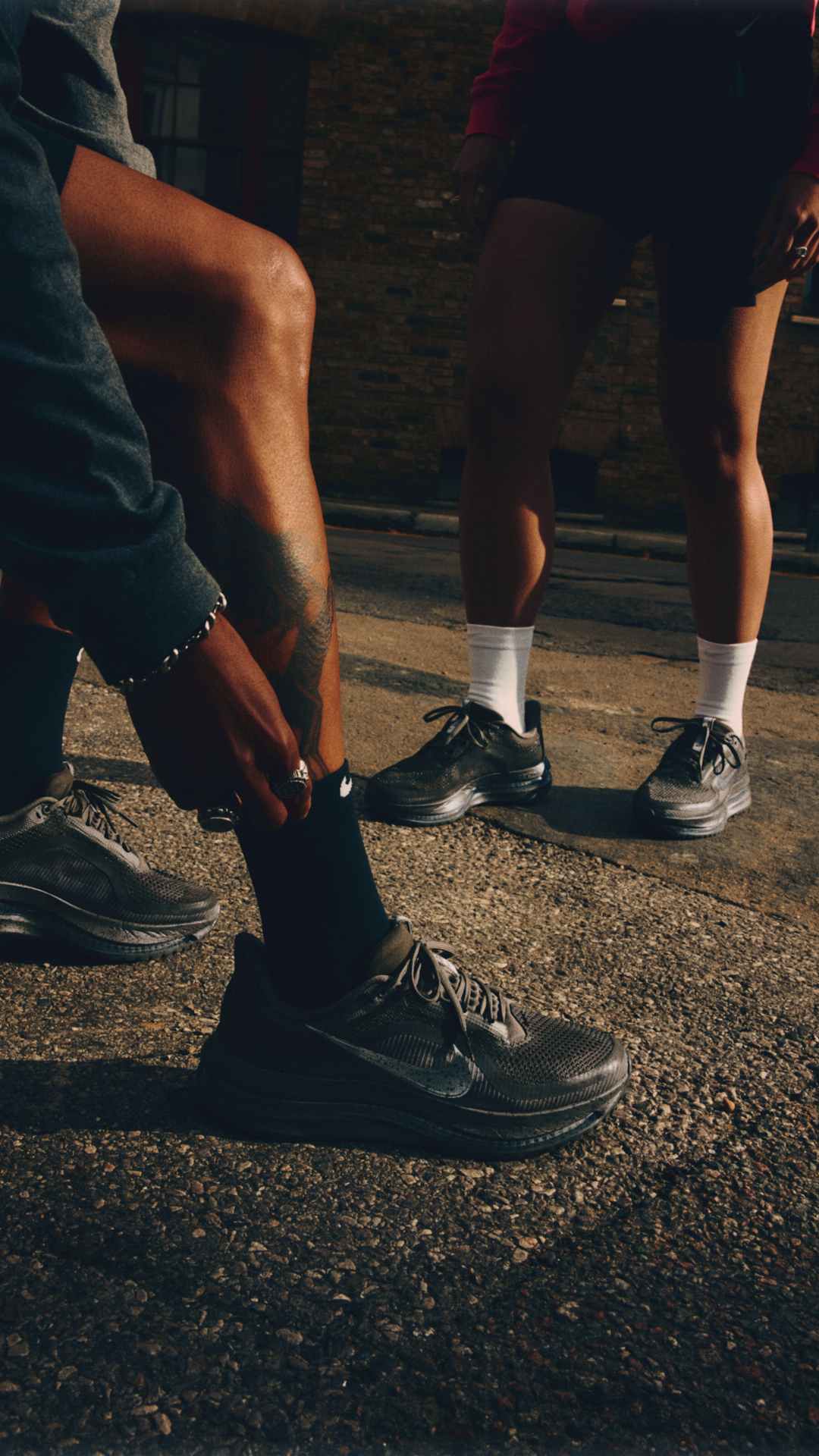 Pegasus Premium "Light Loden": 專題