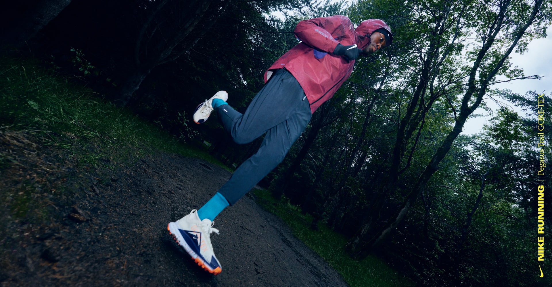 Nike Pegasus Trail 4 GORE-TEX Men's Waterproof Trail-Running Shoes
