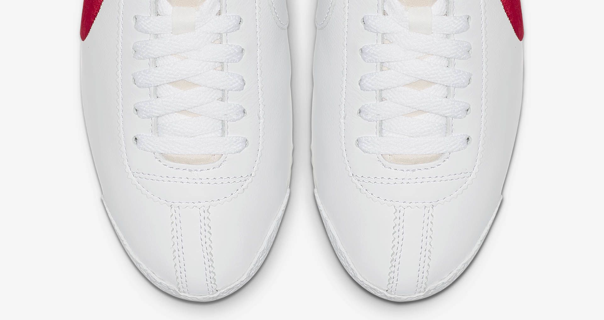cortez shoes dog