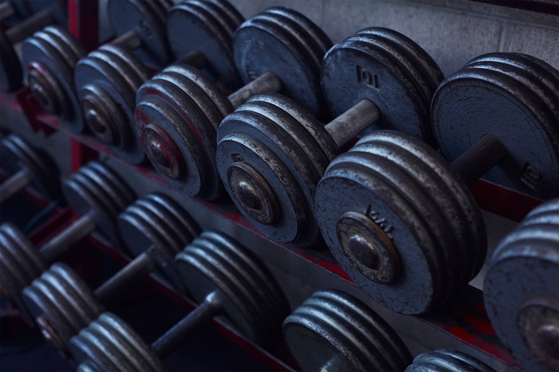 3 Dumbbell Back Workouts to Include in Your Workout, According to Personal Trainers