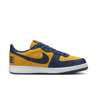 Fecha de lanzamiento del Terminator Low "University Gold and Navy" (FJ4206-700)