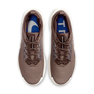 Nike Pegasus Trail 5 GORE-TEX SP Release Date